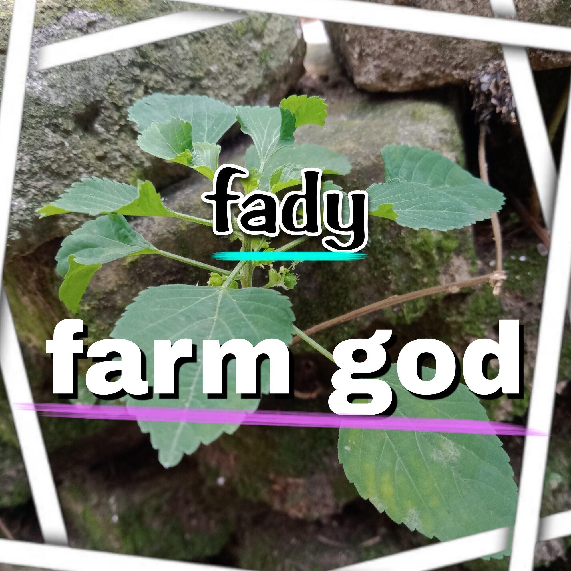 Релиз farm god