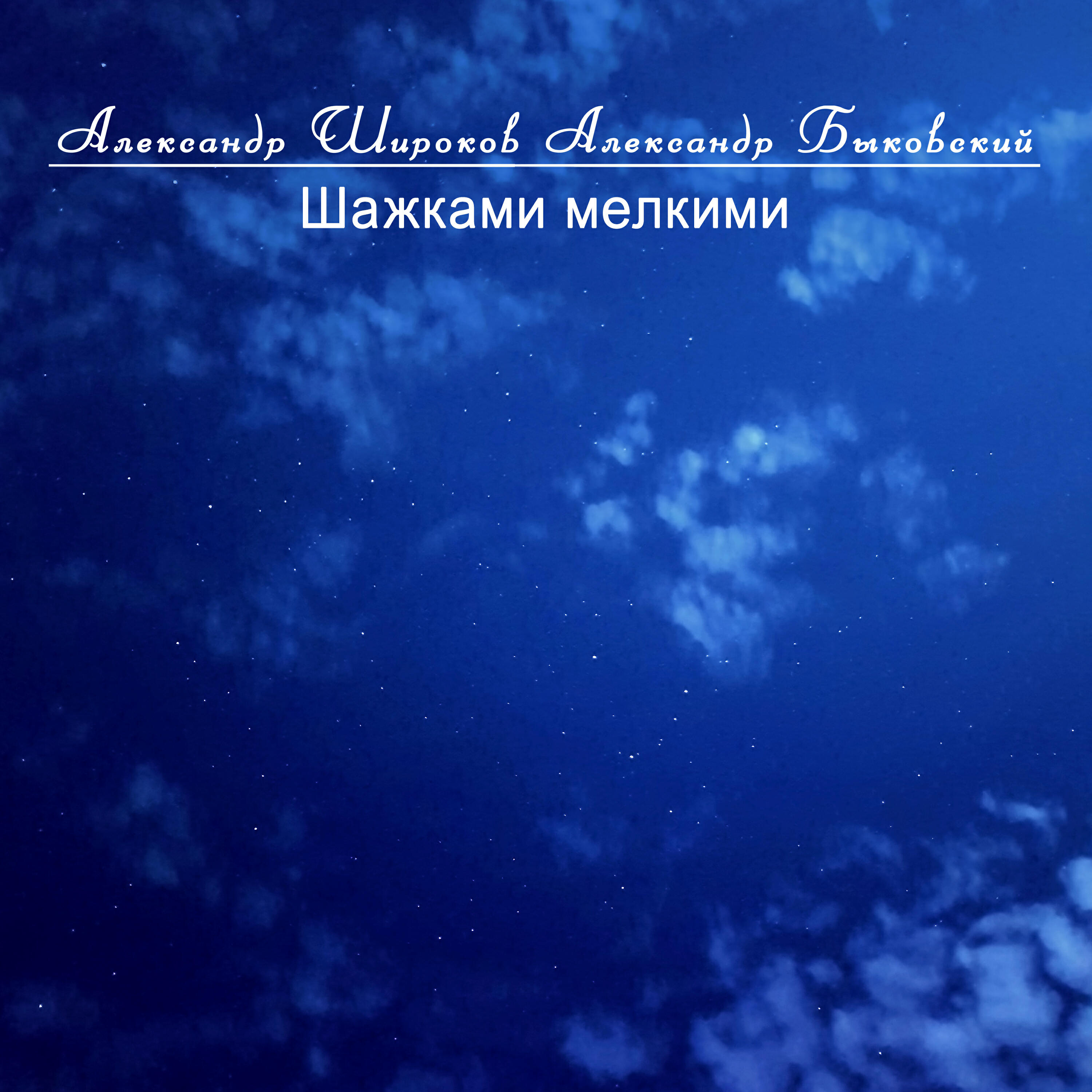 Александр Широков