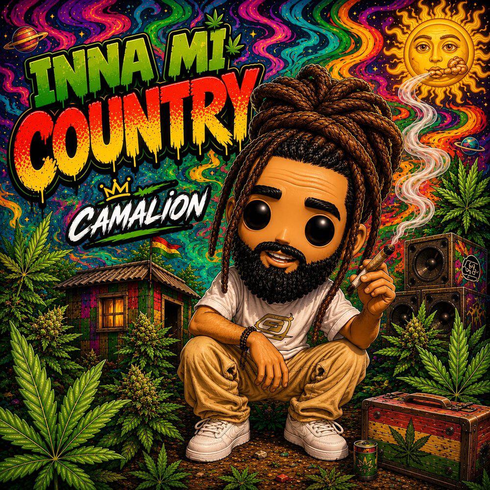 Релиз Inna MI Country