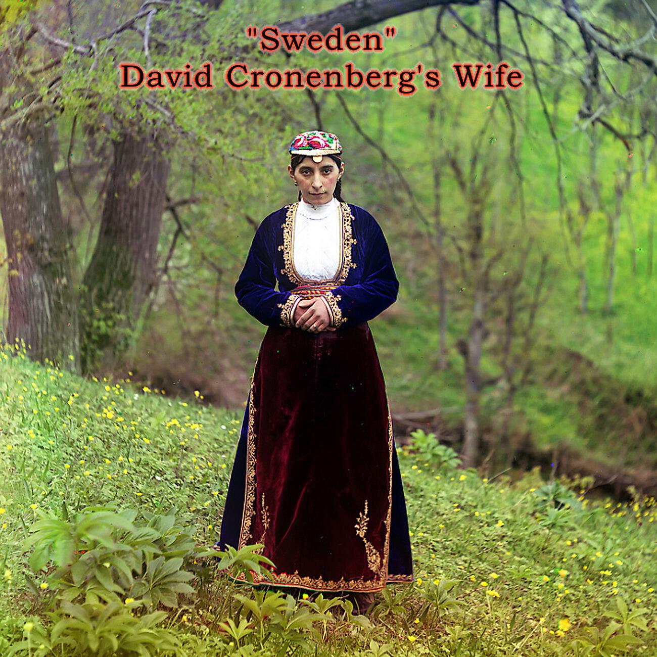 Релиз Sweden EP