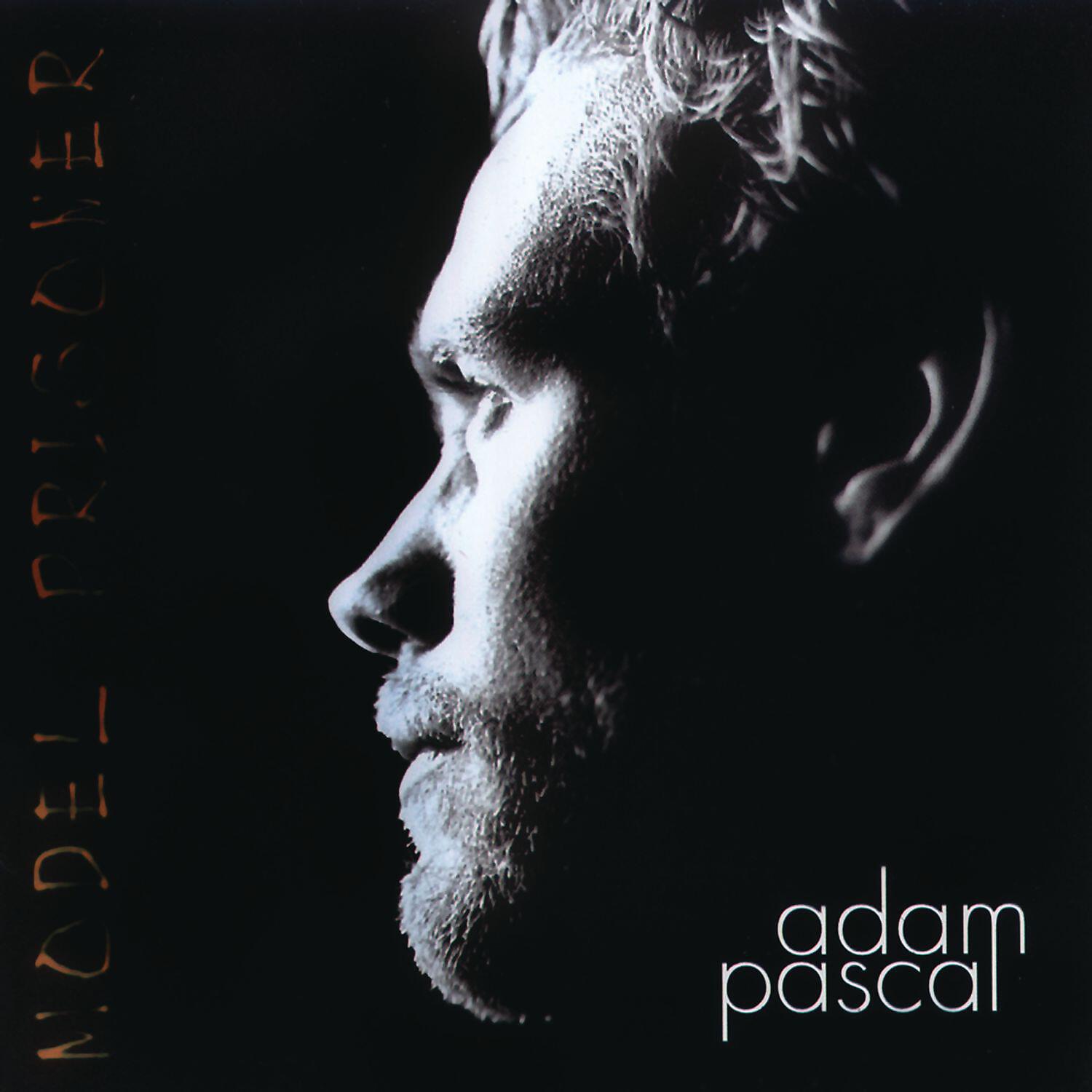 Релиз Model Prisoner