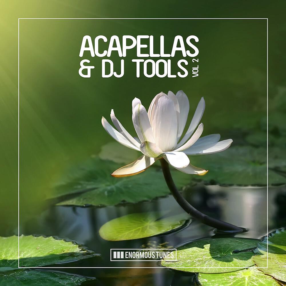 Релиз Enormous Tunes - Acapellas & DJ Tools, Vol. 2