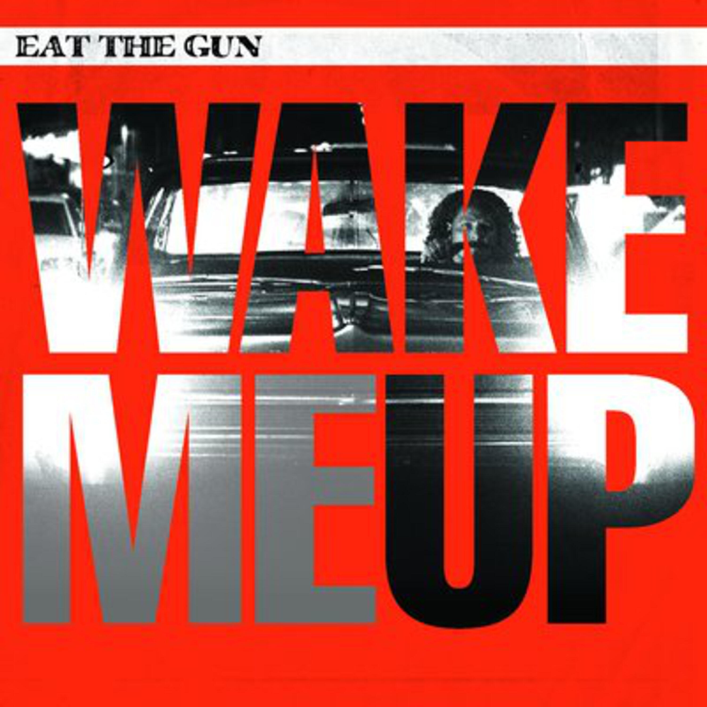 Релиз Wake Me Up