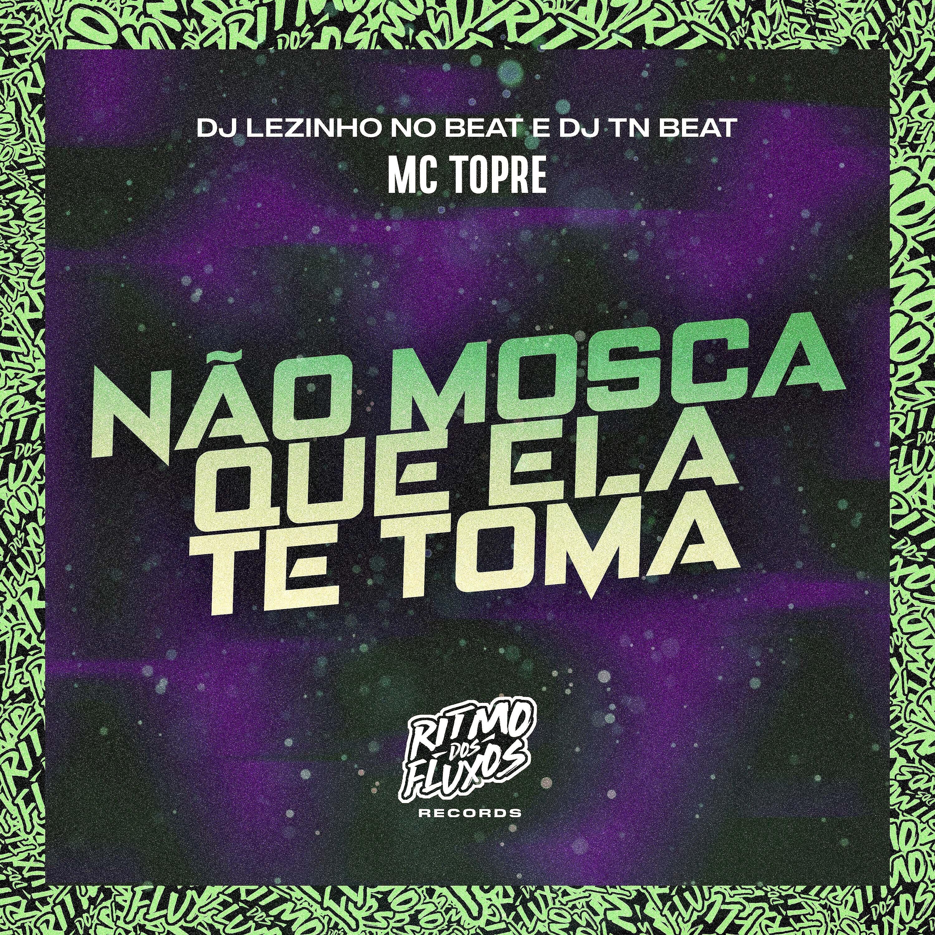 Скачать песню Mc Topre, DJ Lezinho No Beat, DJ TN Beat - Não Mosca Que Ela Te Toma бесплатно в MP3 для Android и iOS