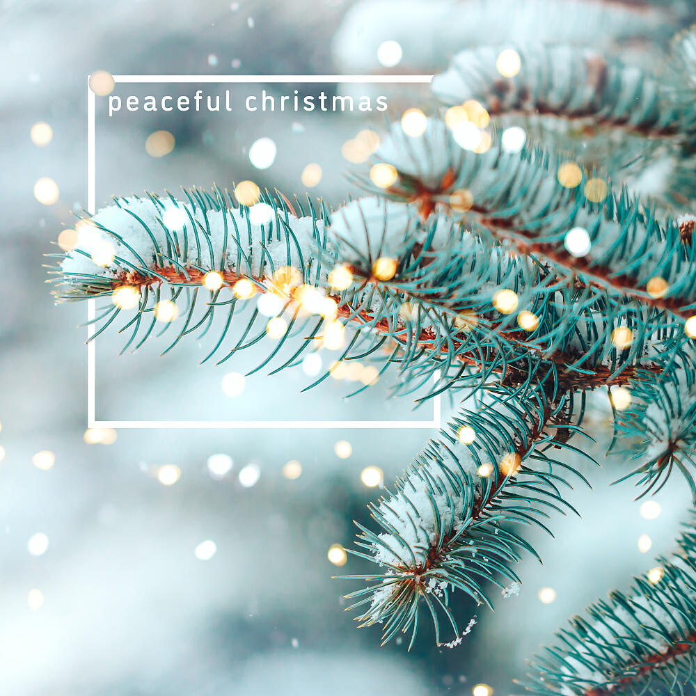 Релиз peaceful christmas