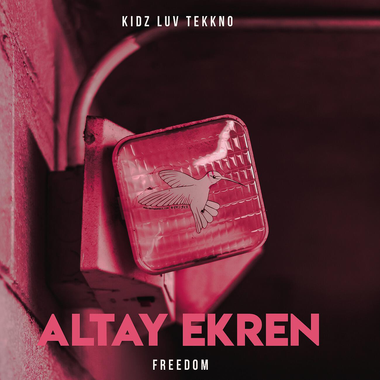 Altay Ekren