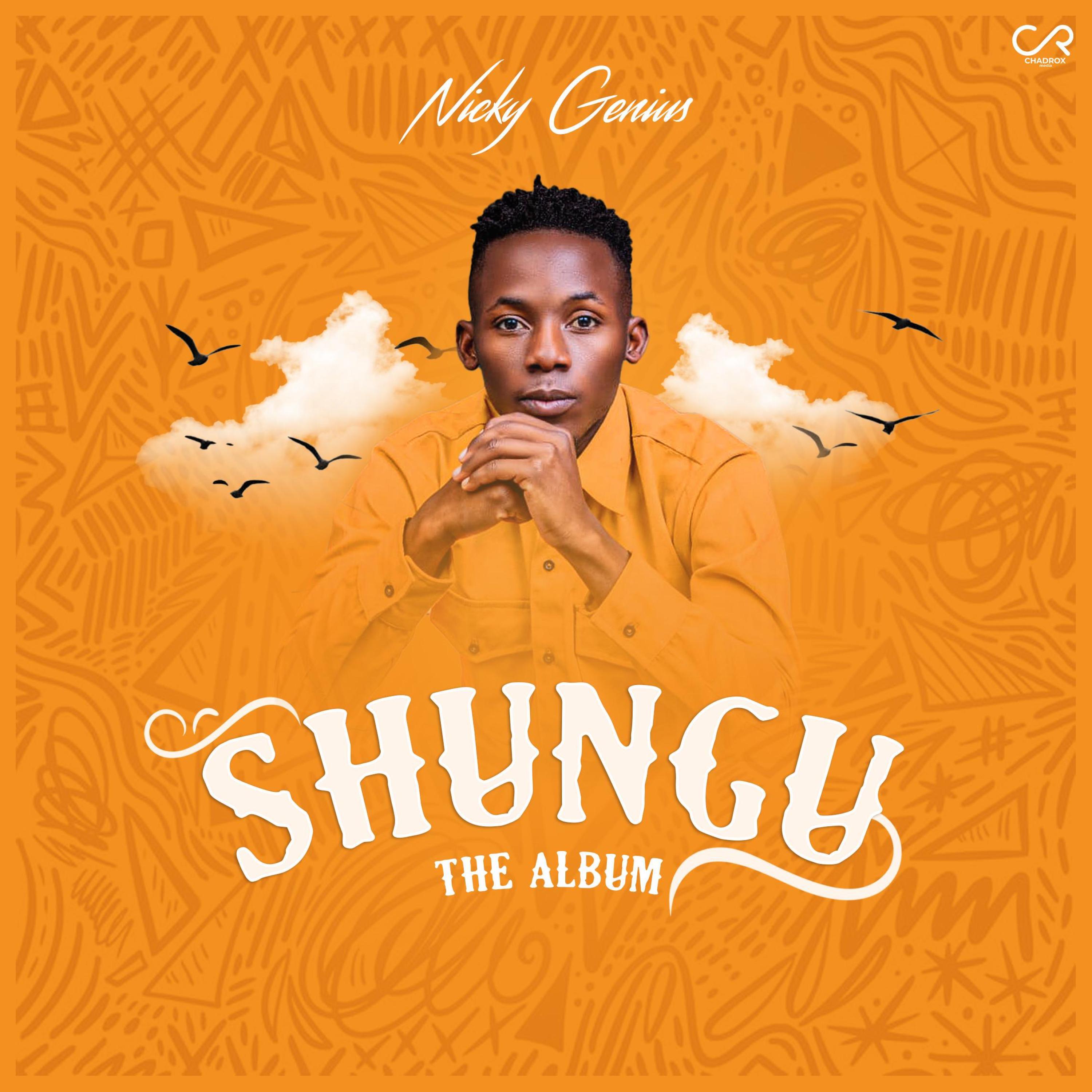 Релиз SHUNGU