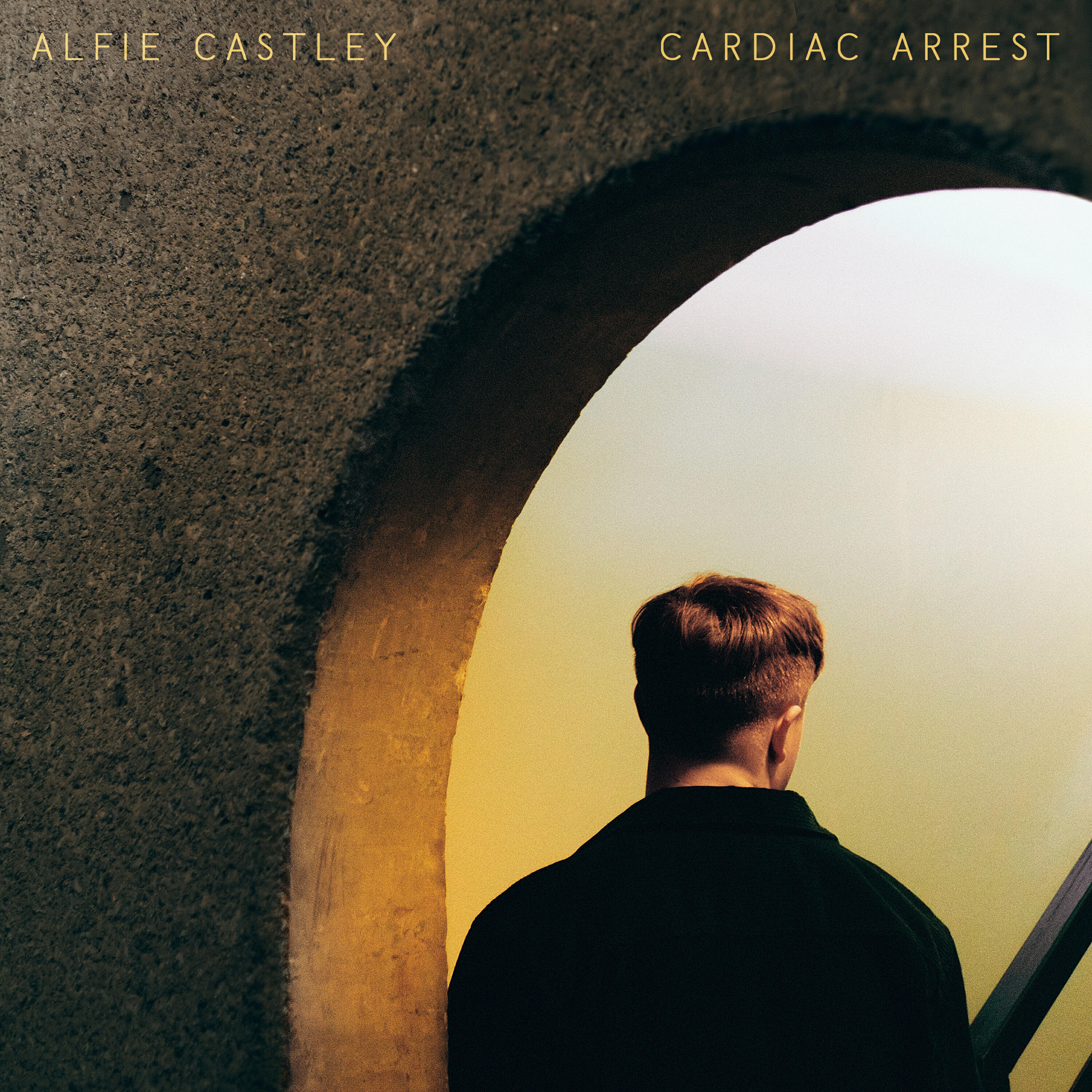 Релиз Cardiac Arrest