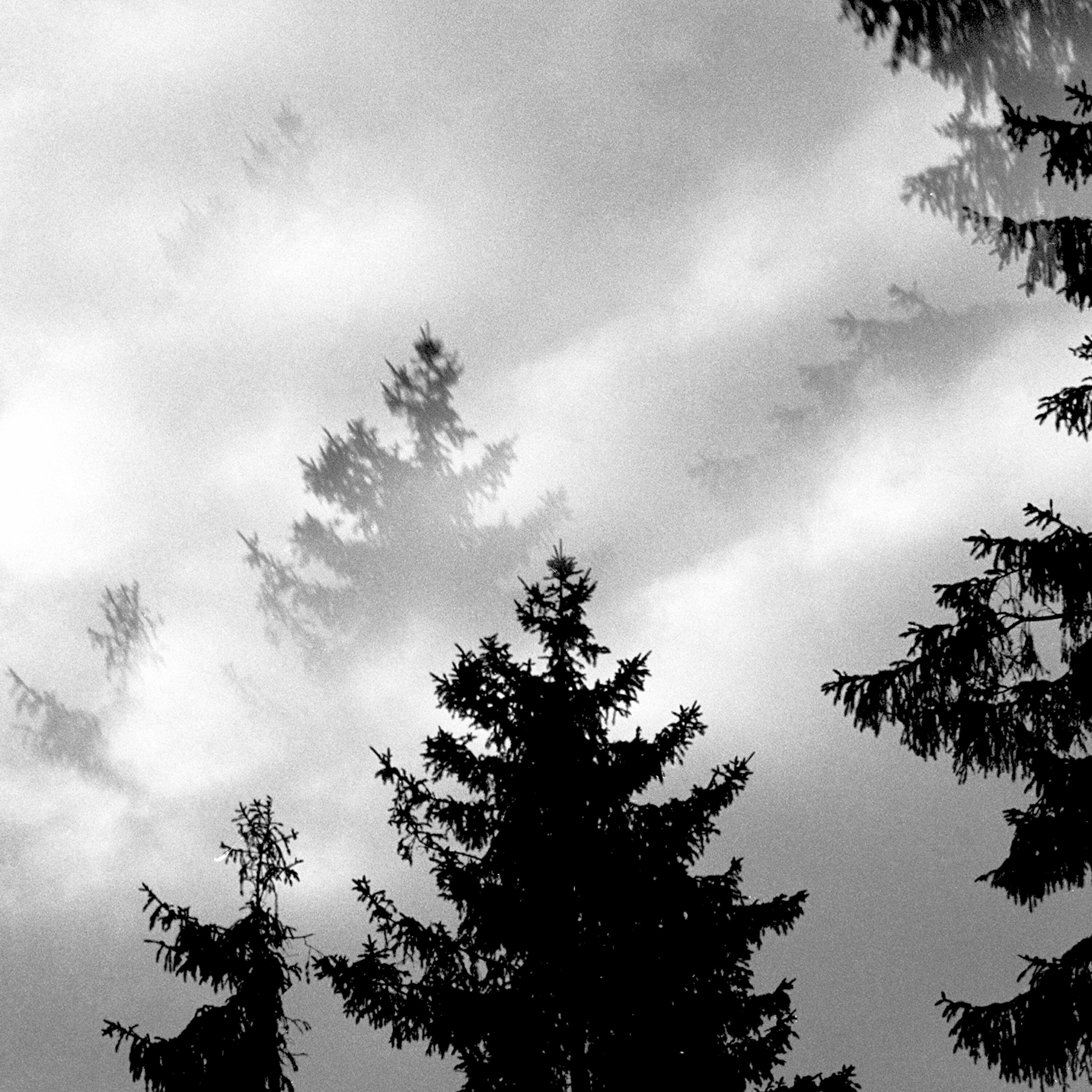 Релиз Taunus