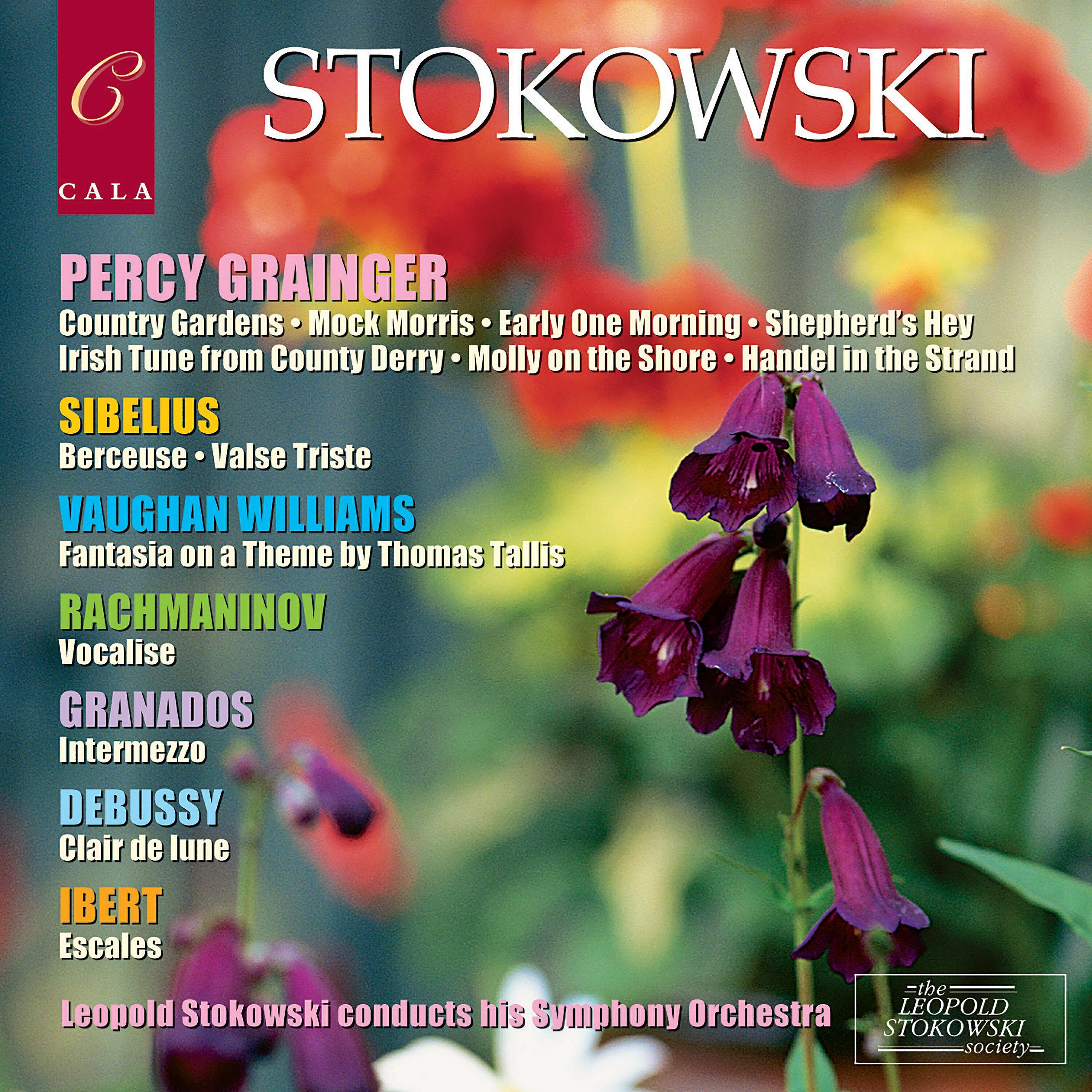 Leopold Stokowski's Symphony Orchestra