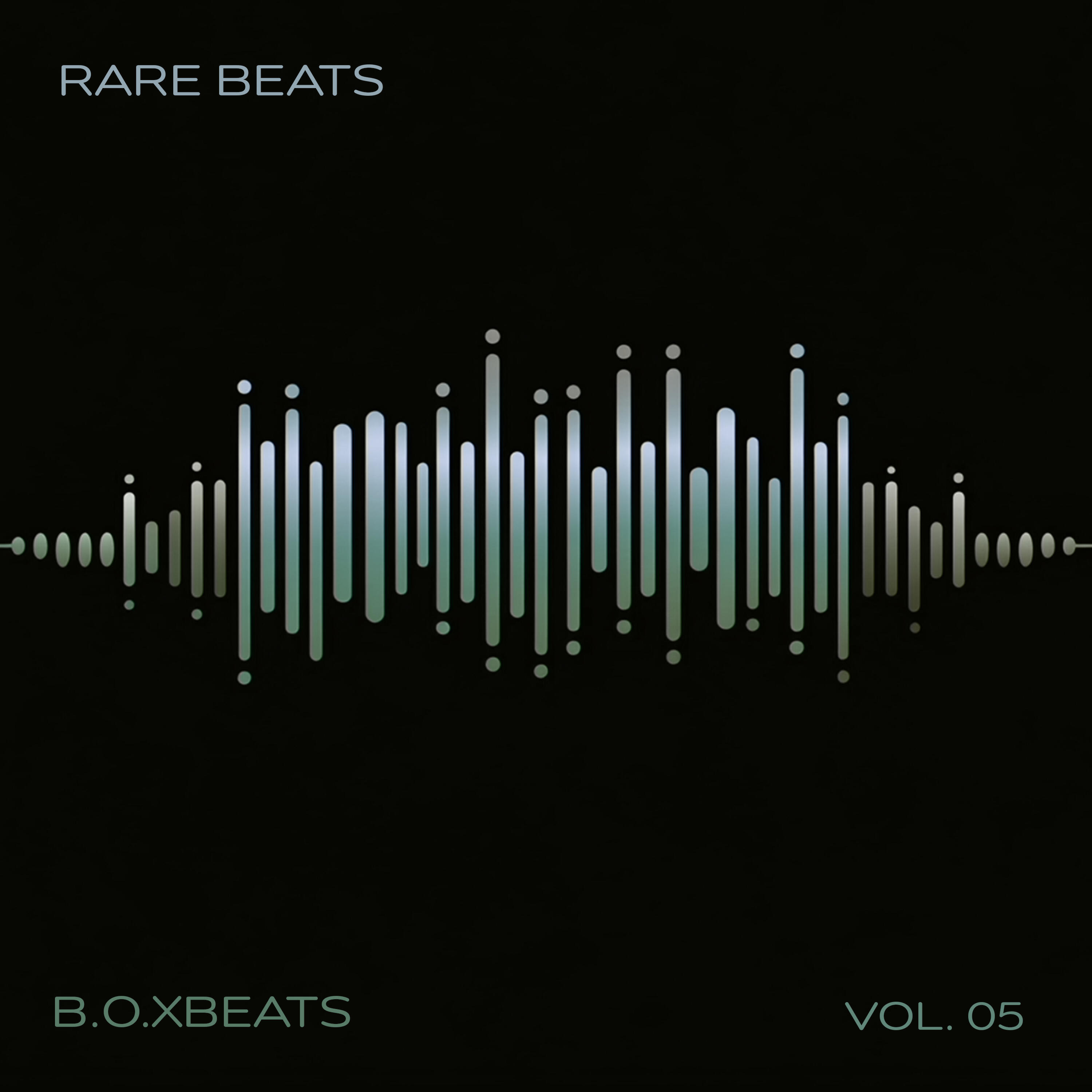 Релиз Rare Beats, Vol. 5