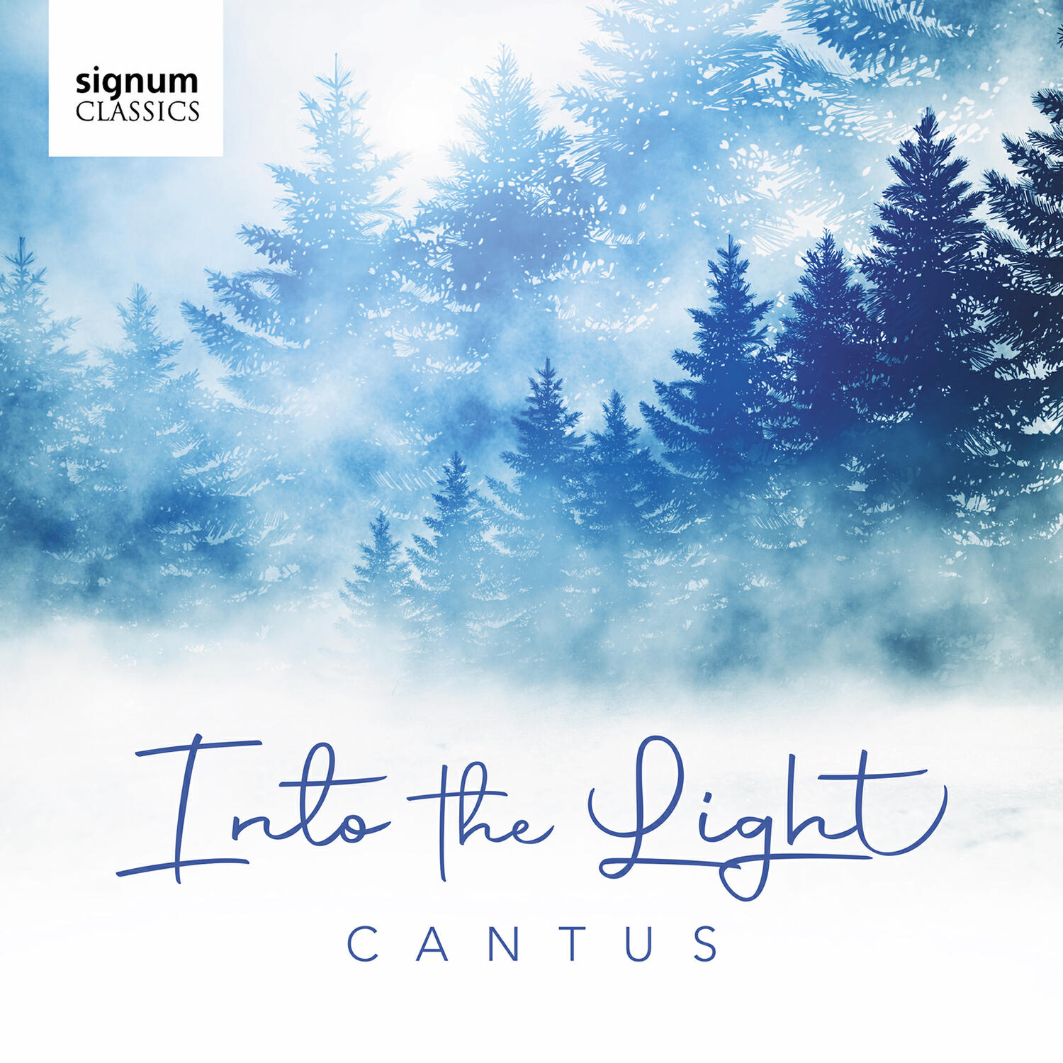 Релиз Into the Light