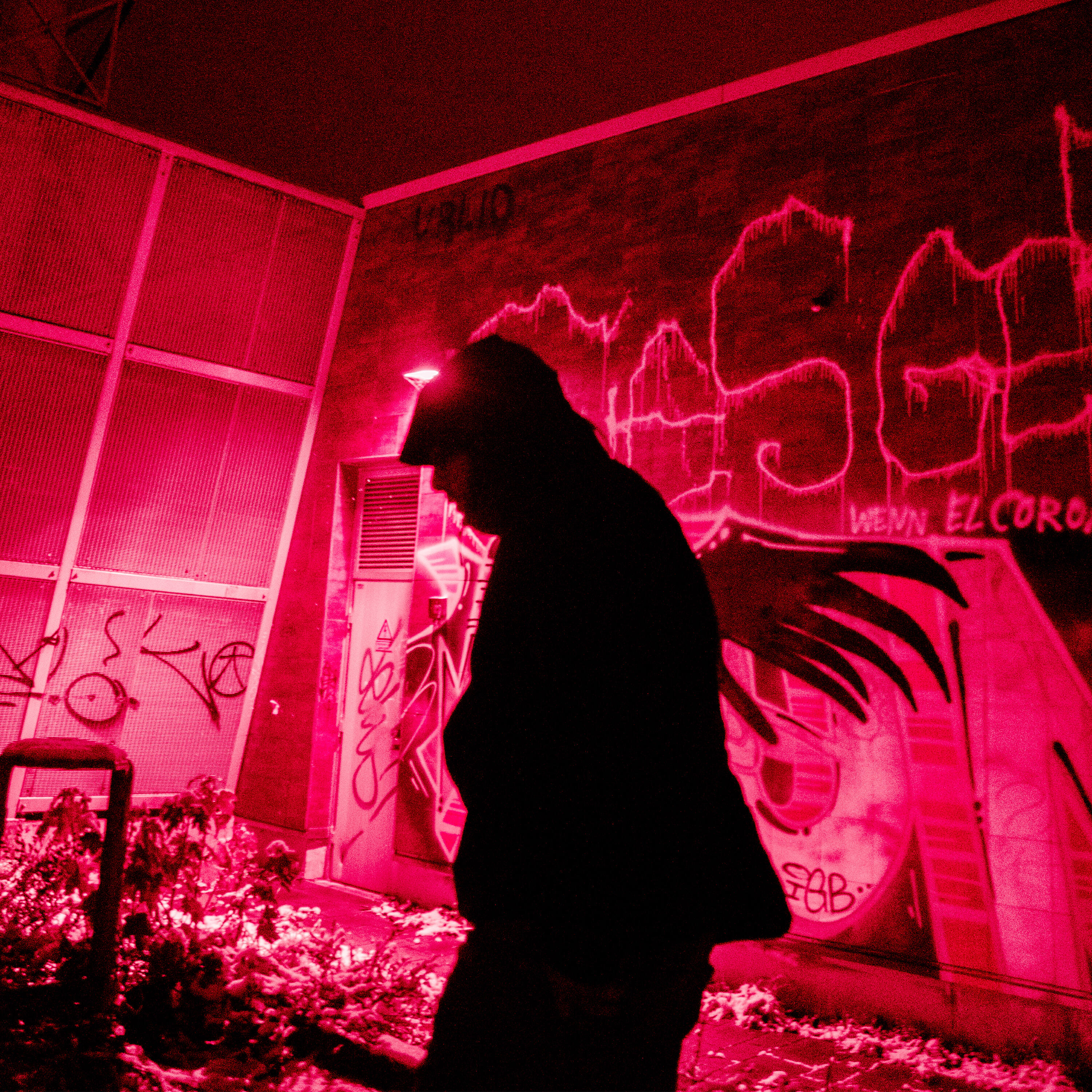 Релиз Beast