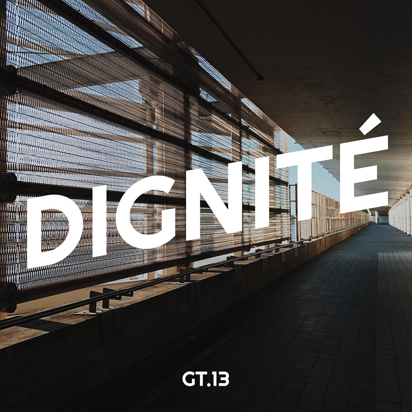 gt.13
