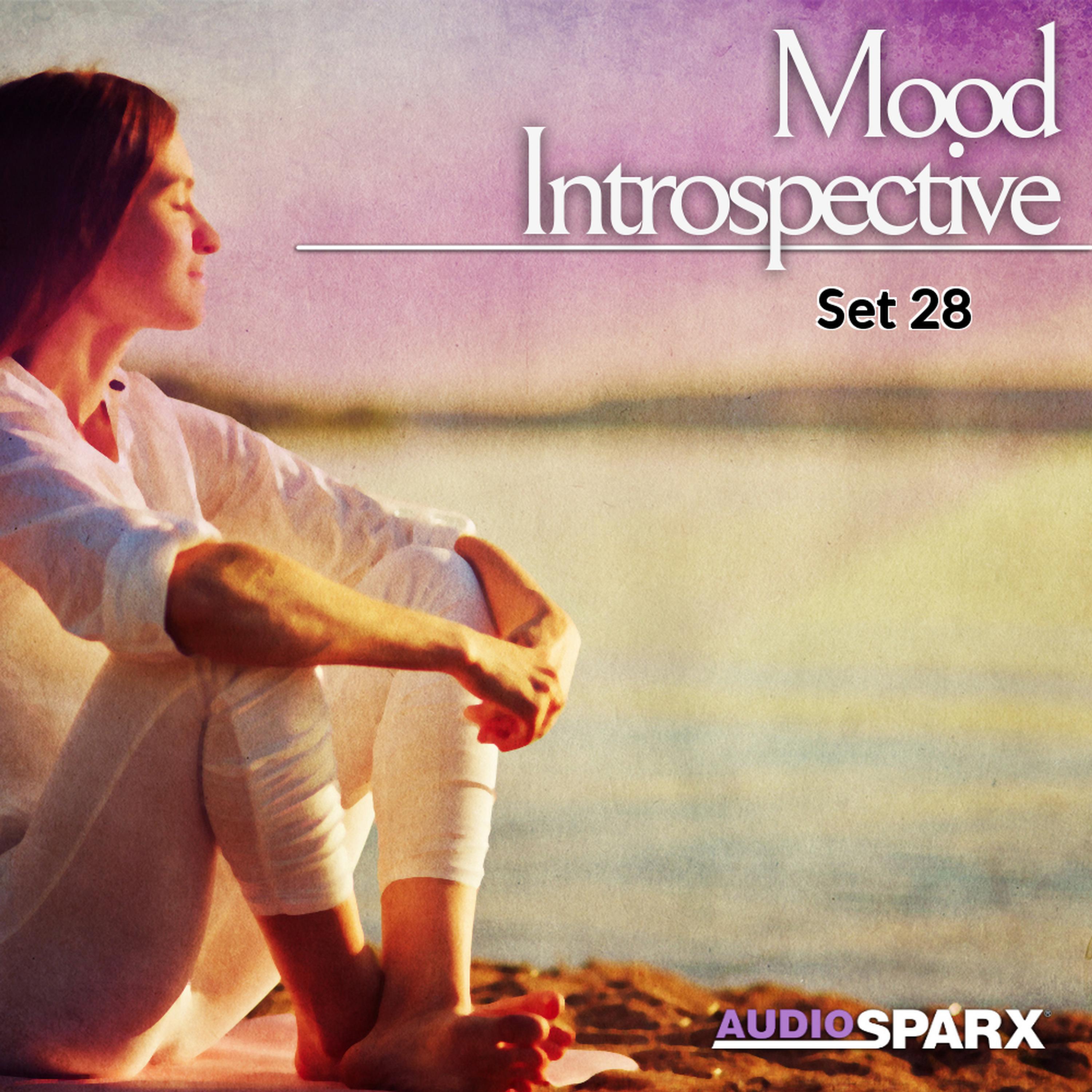 Релиз Mood Introspective, Set 28