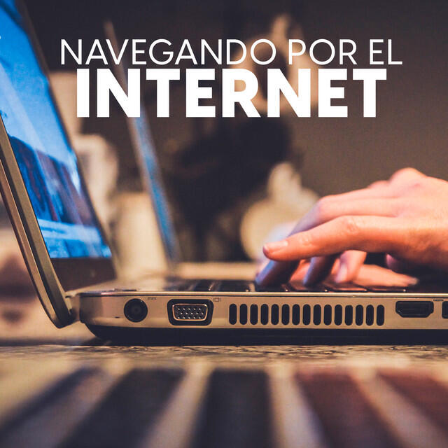 Постер альбома Navegando por internet