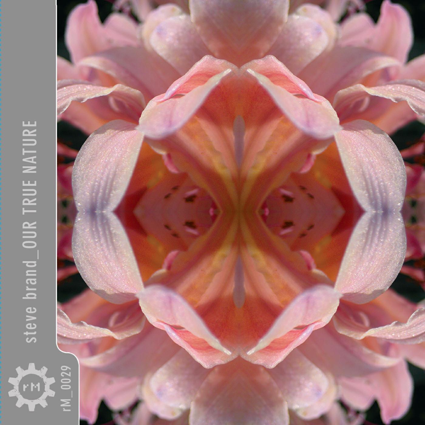 Релиз Our True Nature
