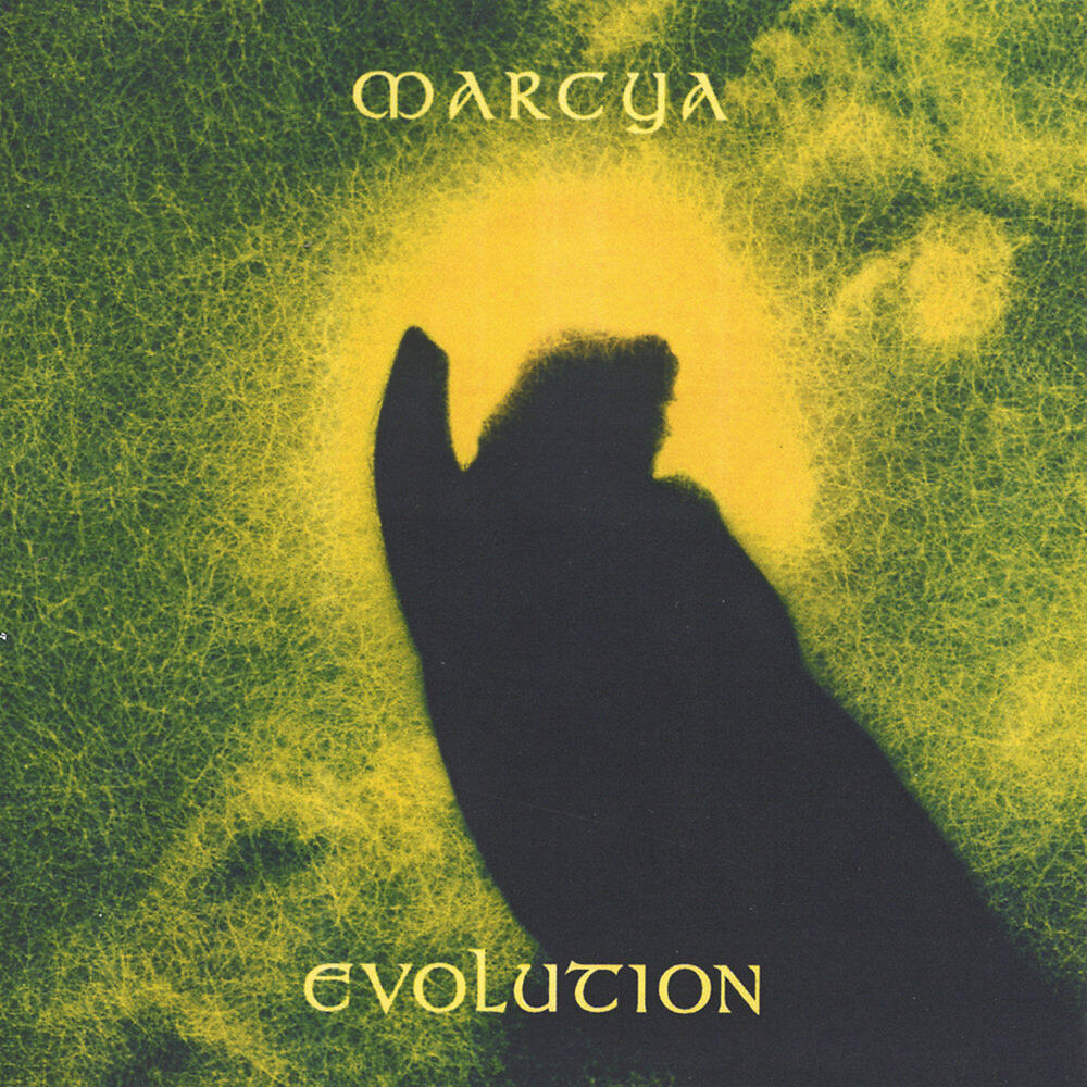 Релиз Evolution