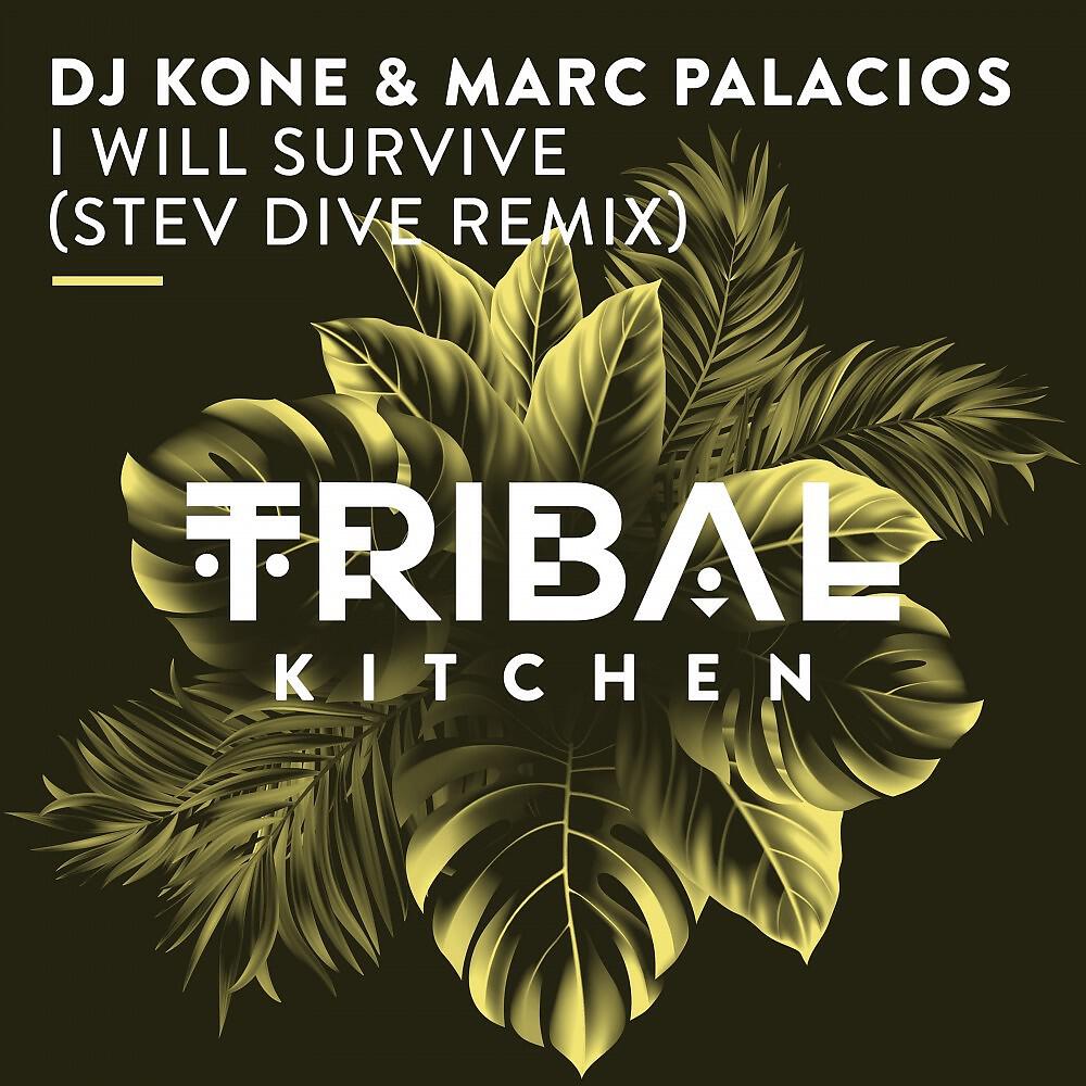 Релиз I Will Survive (Stev Dive Remix)