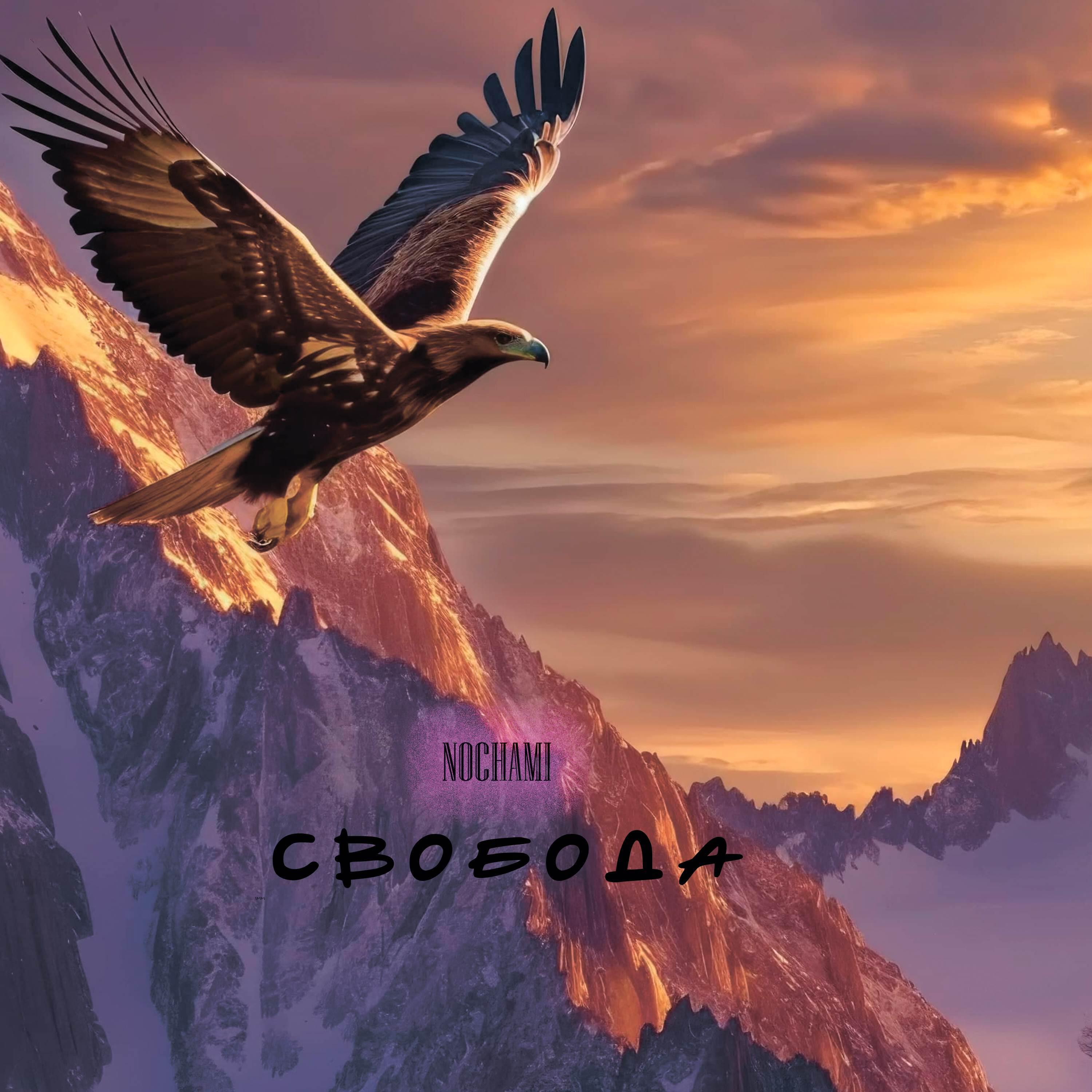Релиз Свобода