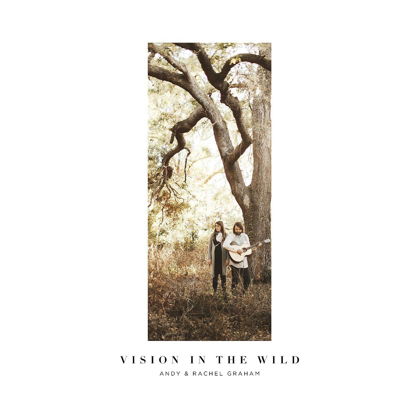 Релиз Vision in the Wild