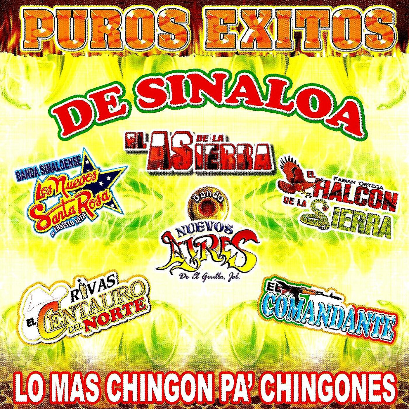 Релиз Puros Exitos De Sinaloa