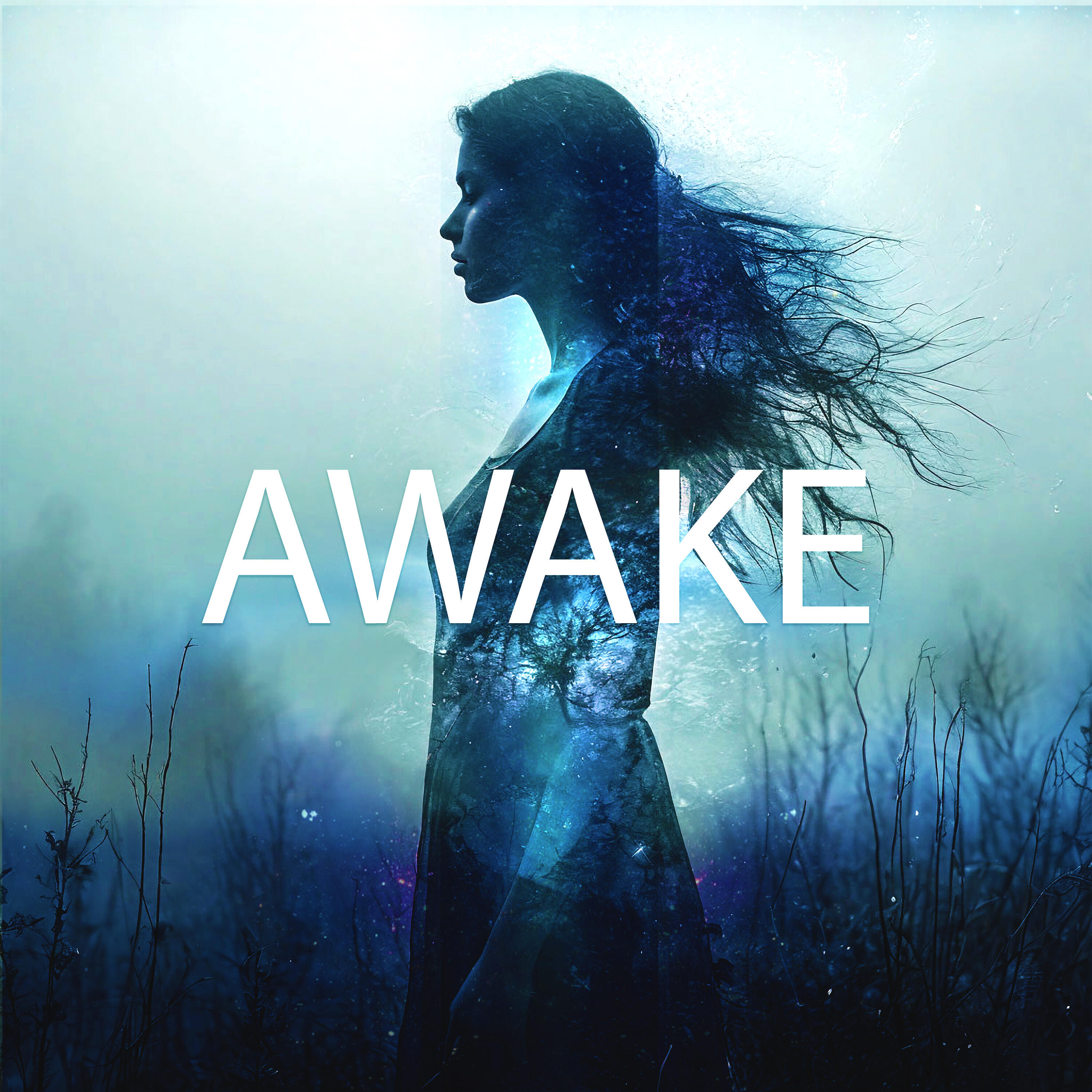 Релиз Awake