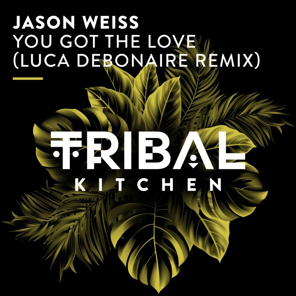 Релиз You Got the Love (Luca Debonaire Remix)