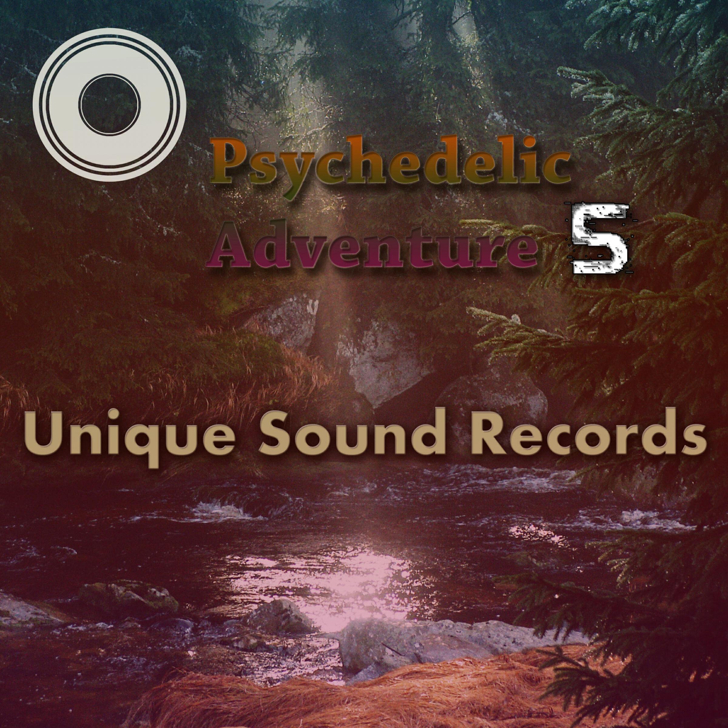 Релиз Psychedelic Adventure 5