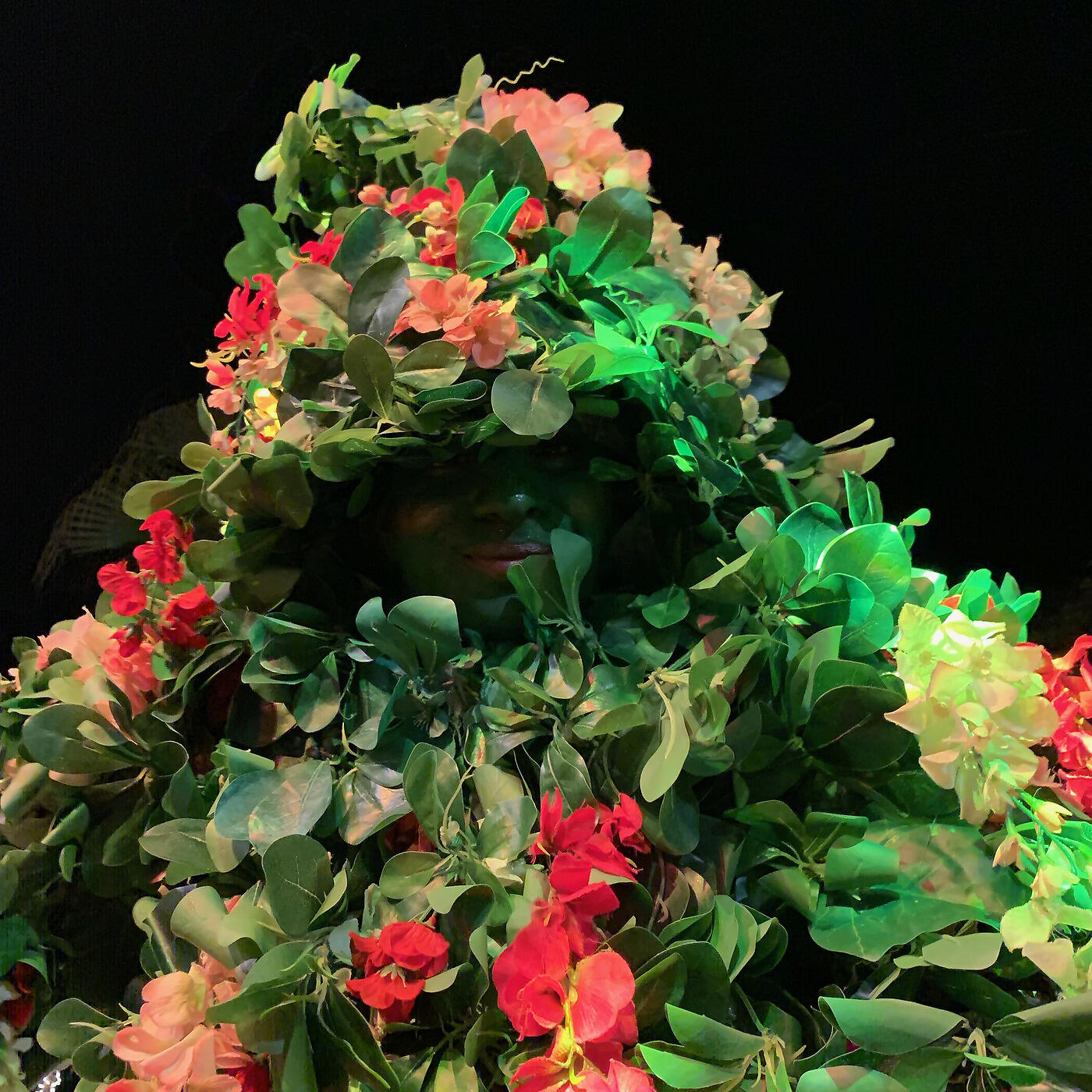 Релиз Naturaleza, Madre