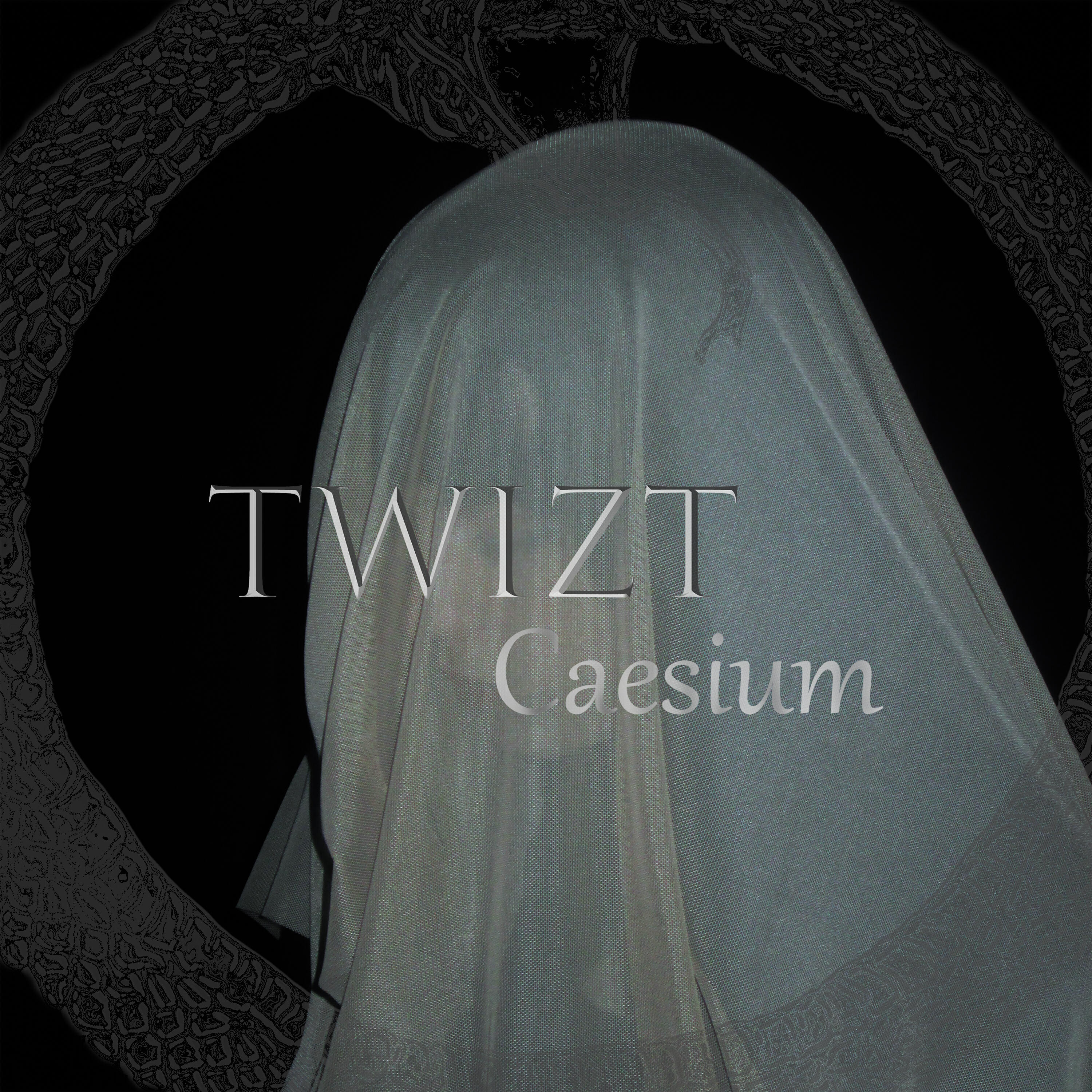 Twizt