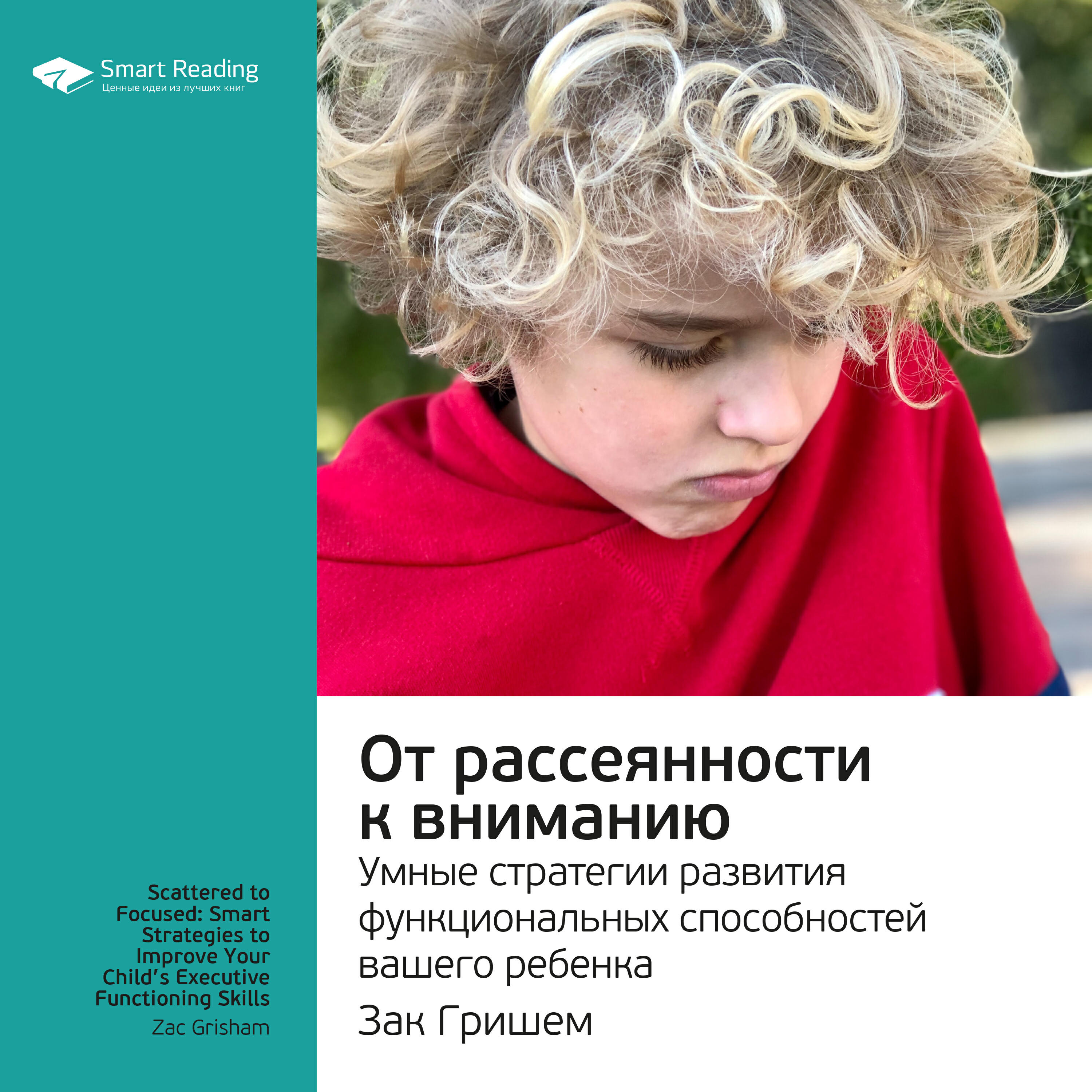 Книга От рассеянности к вниманию. Умные стратегии развития функциональных способностей вашего ребенка. Зак Гришем. Ключевые идеи книги