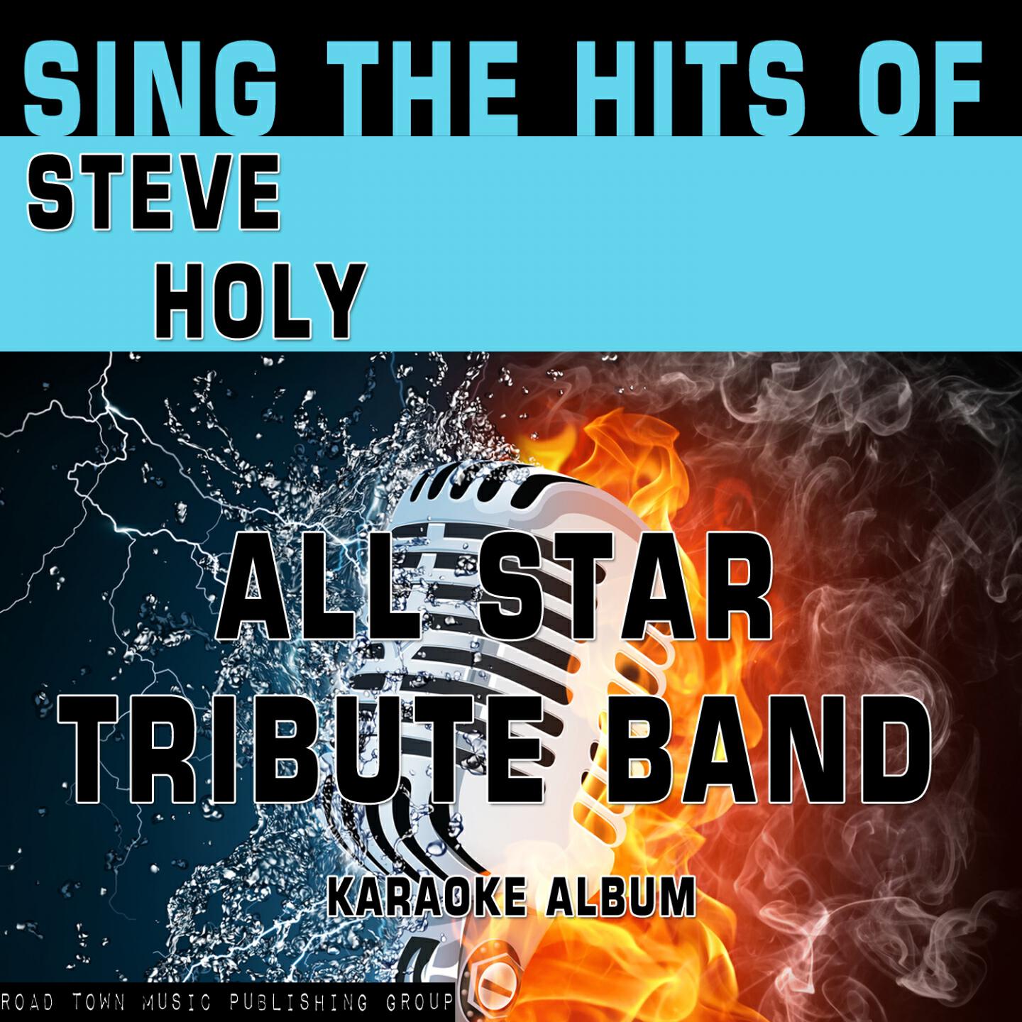 Постер альбома Sing the Hits of Steve Holy