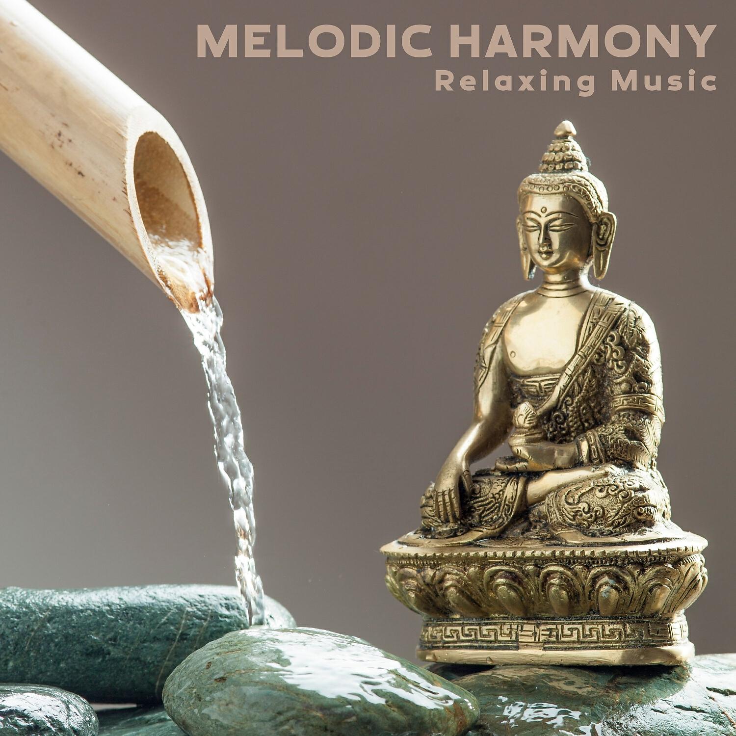 Постер альбома Melodic Harmony