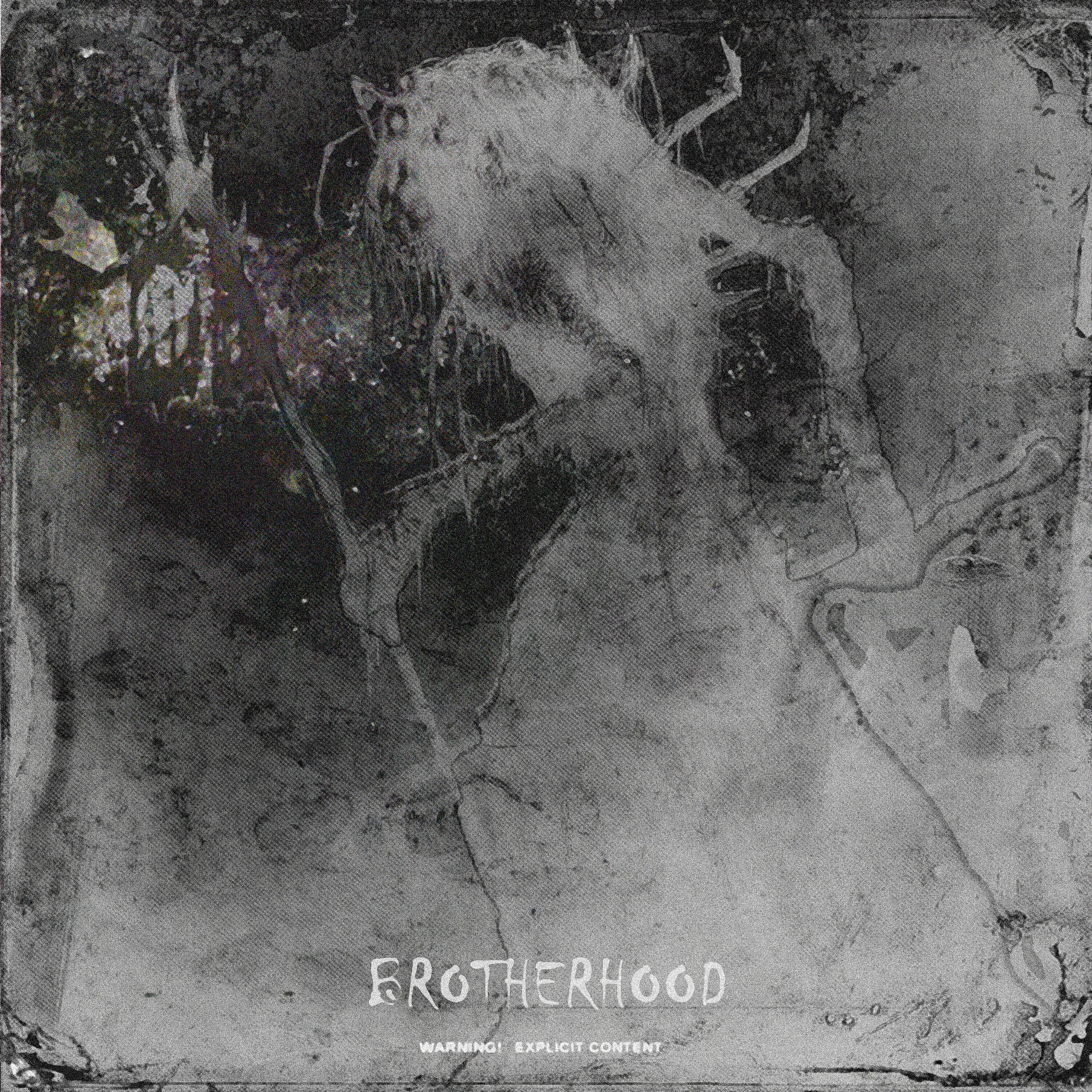 Релиз Brotherhood