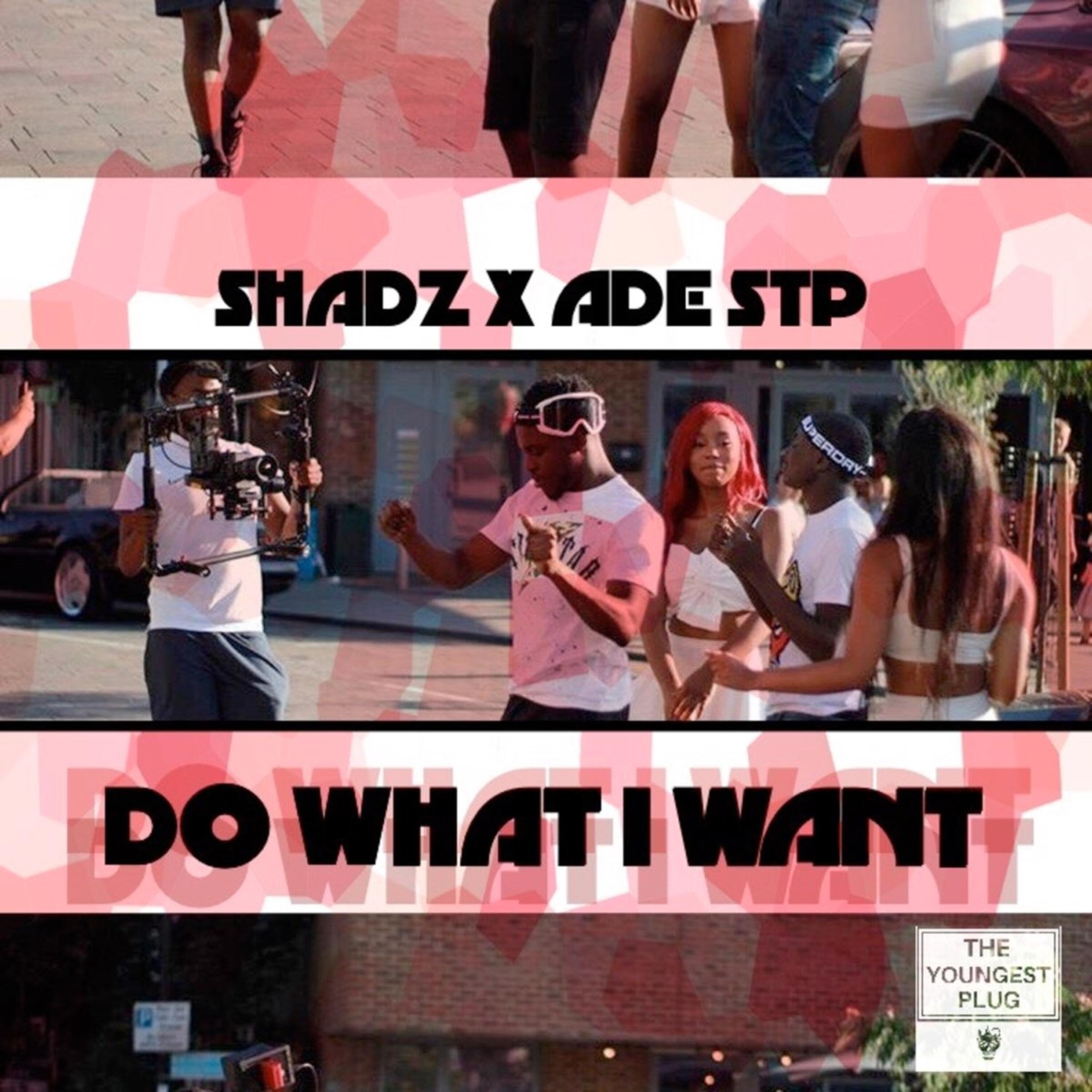 Релиз Do What I Want