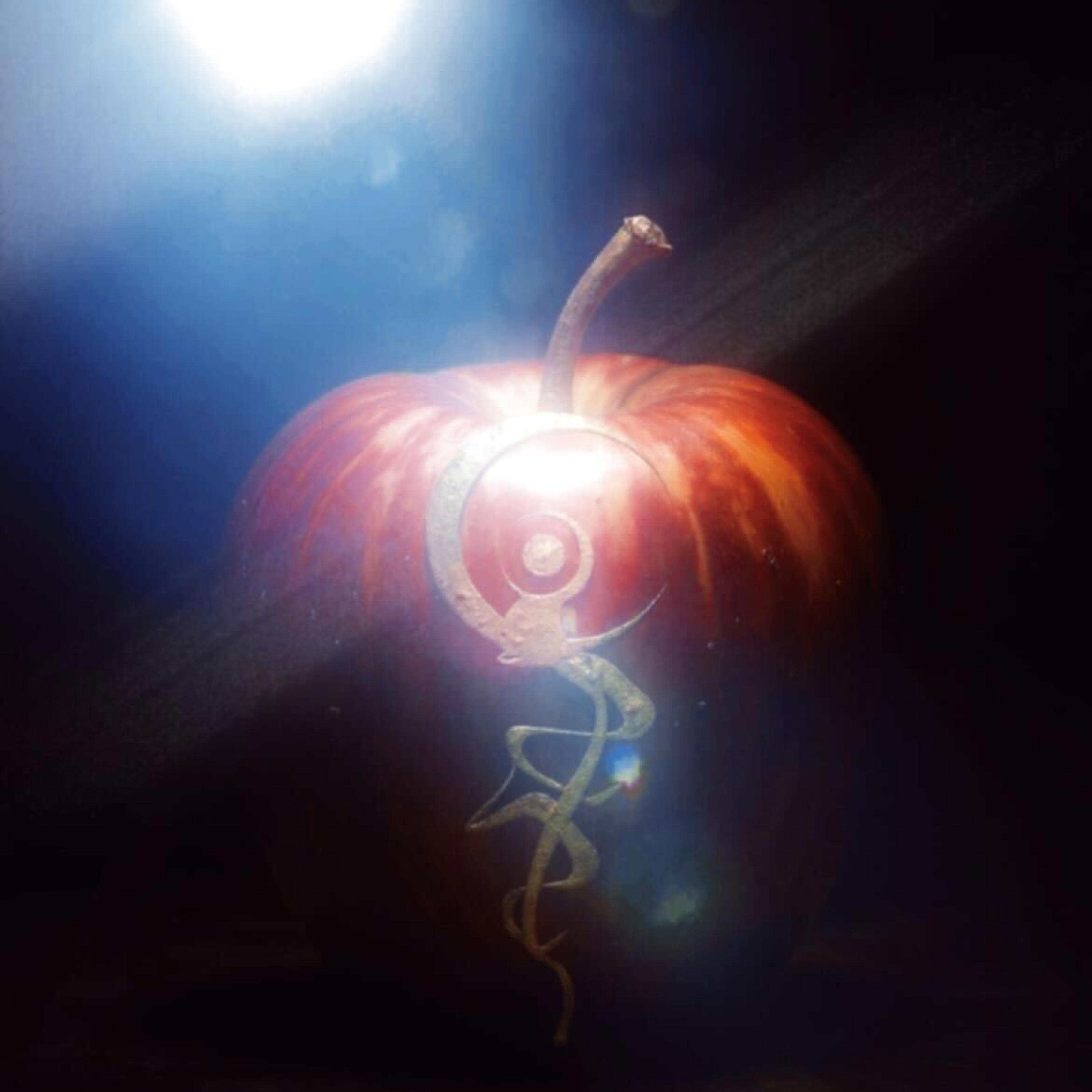 Релиз fruit fall out the tree