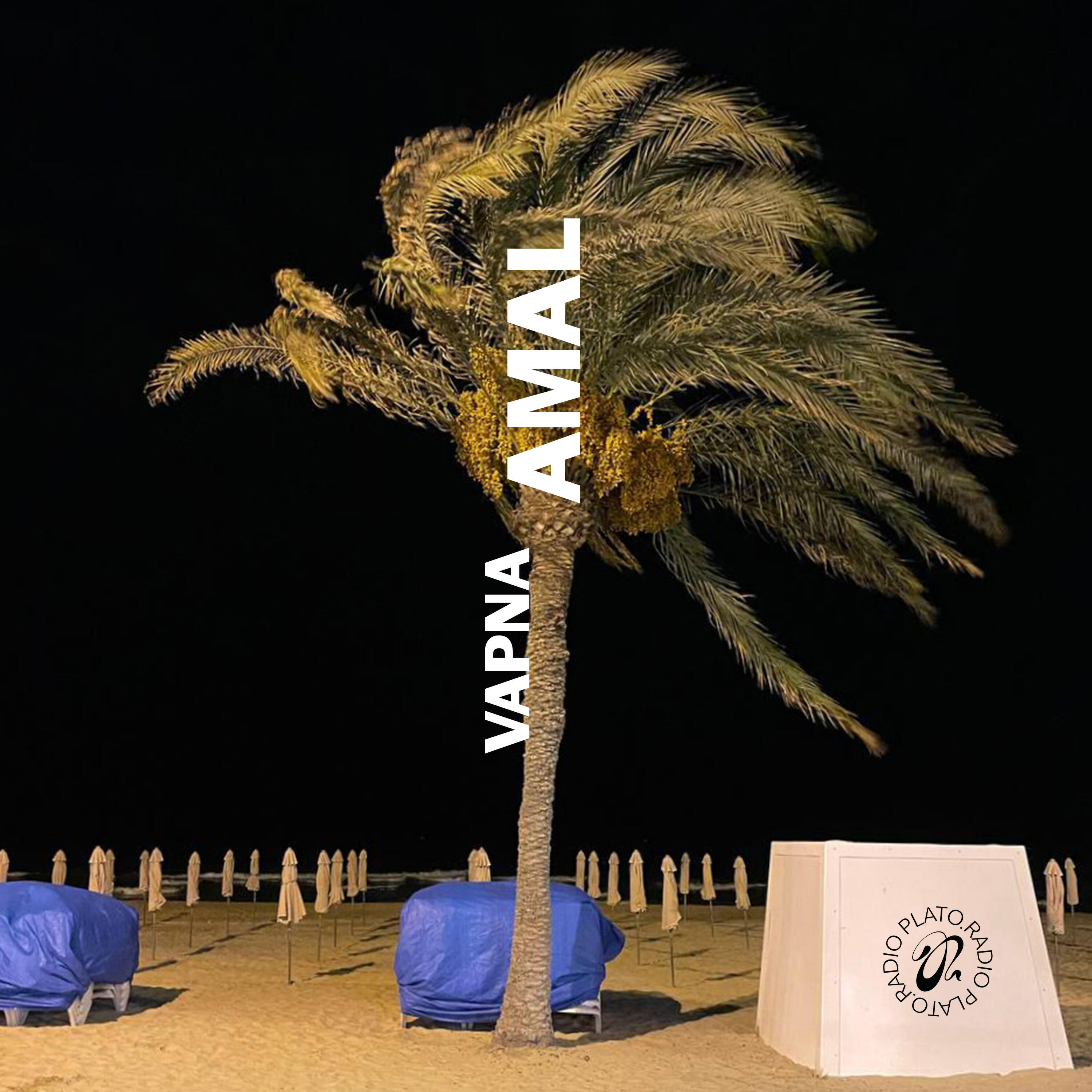 Релиз Amal
