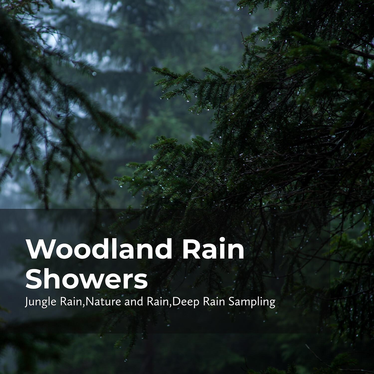 Релиз Woodland Rain Showers