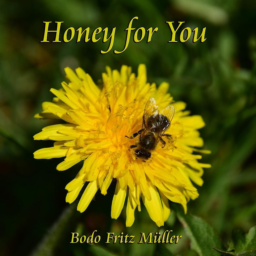 Релиз Honey for You