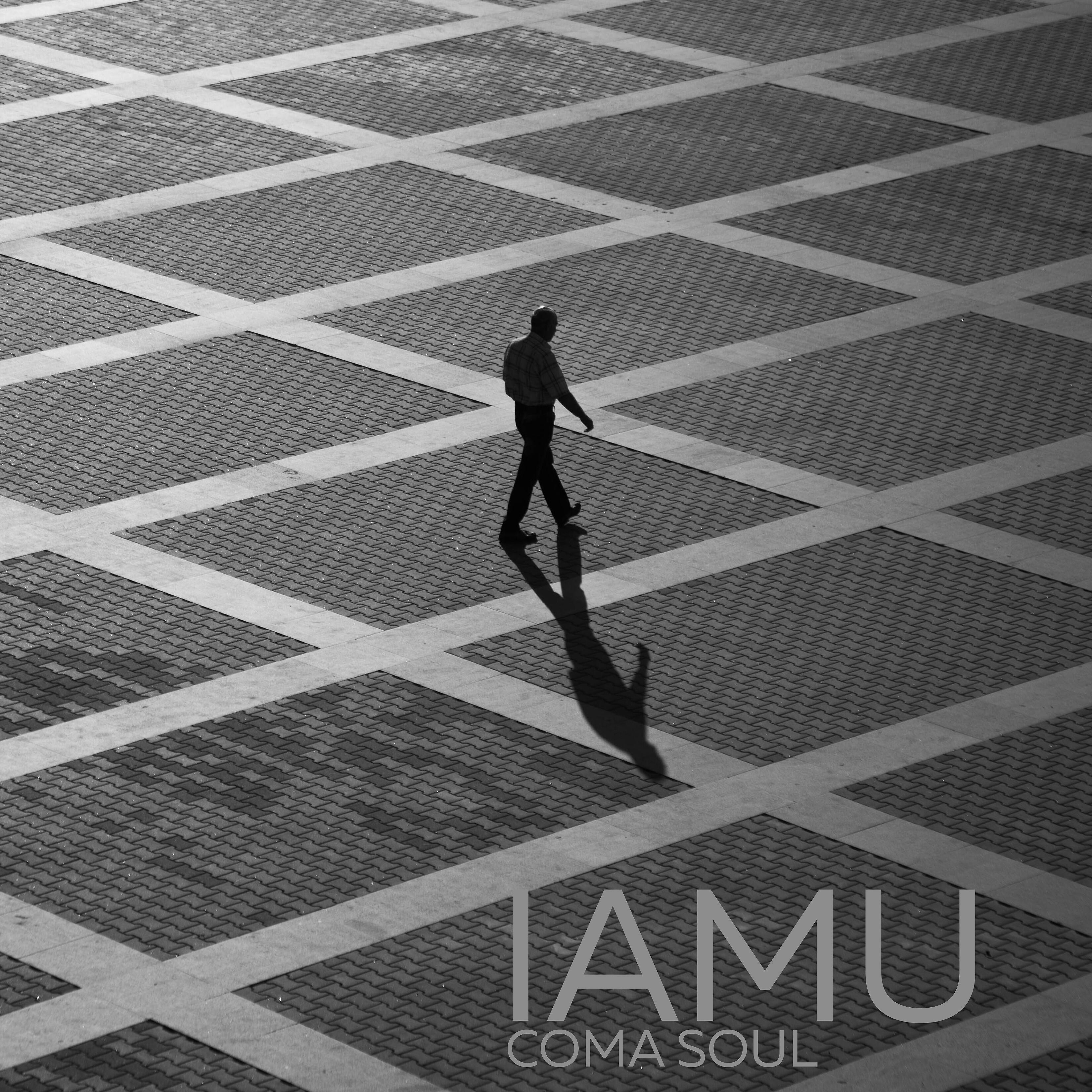 Релиз Iamu