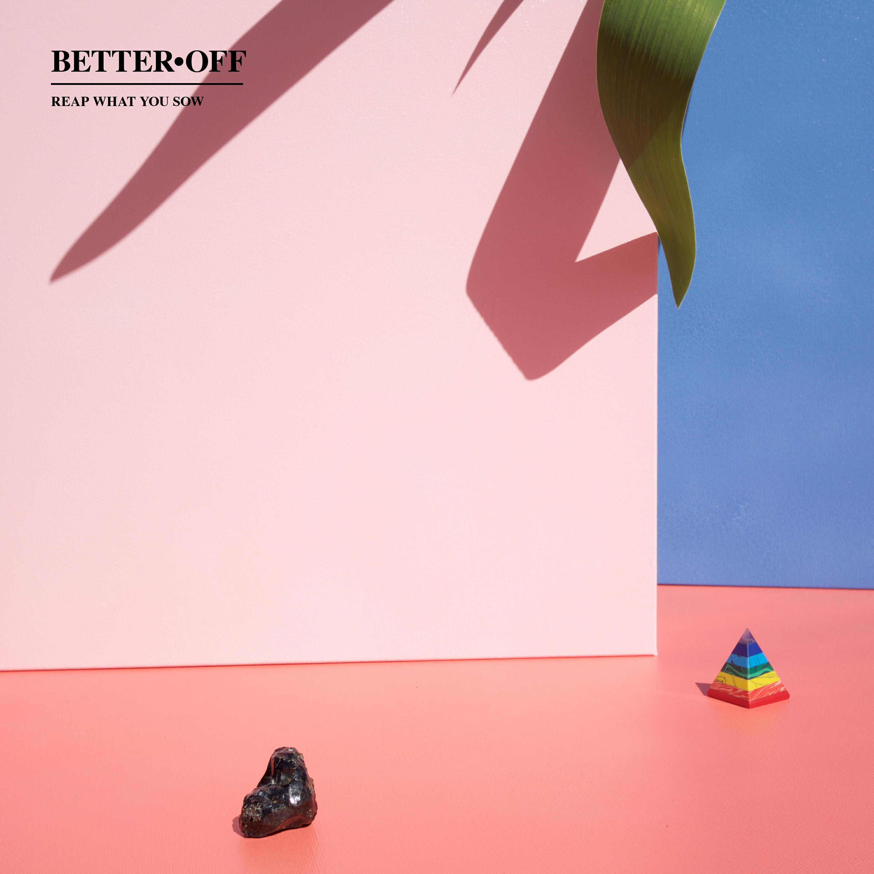 Релиз Reap What You Sow