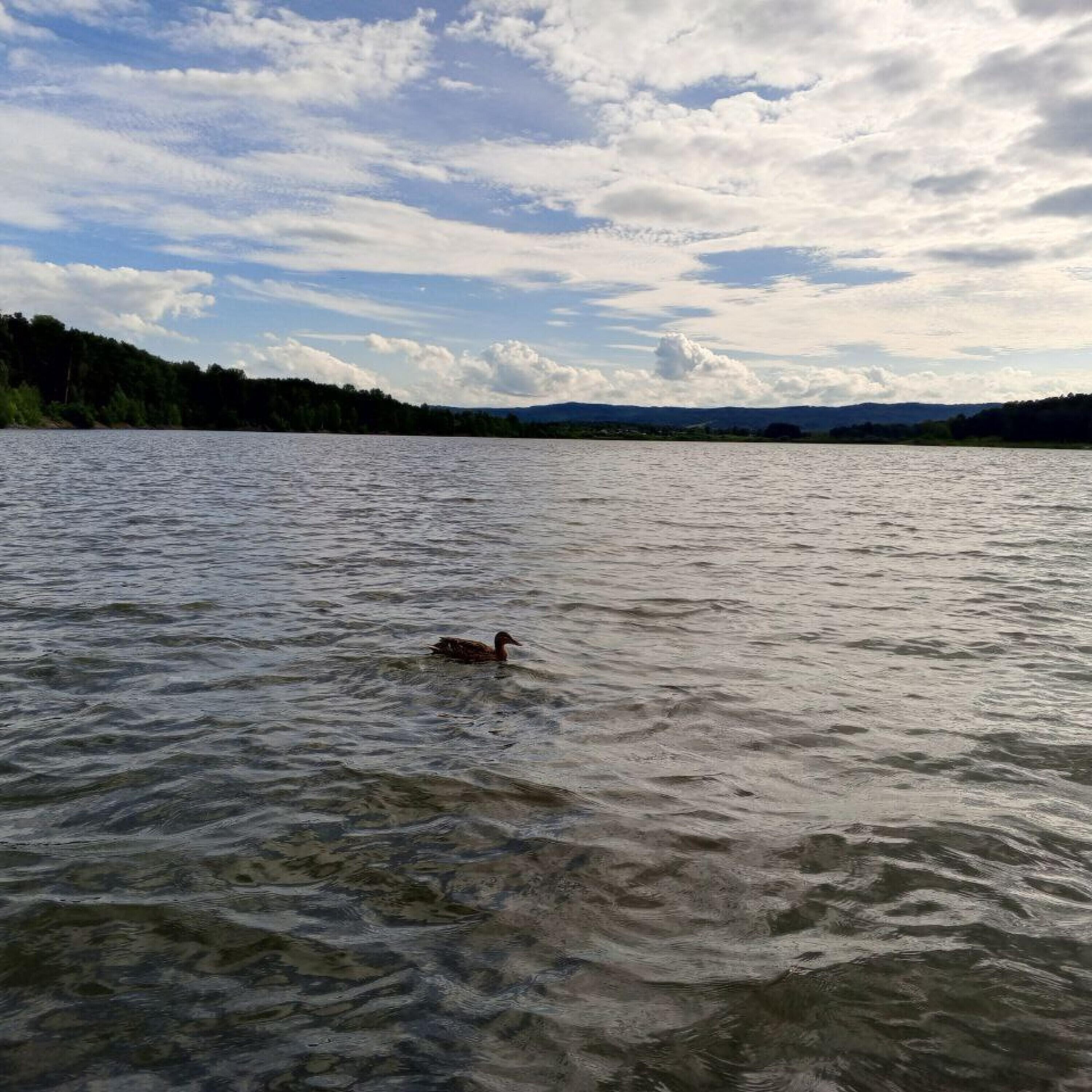 Релиз Ласков звон злой воды