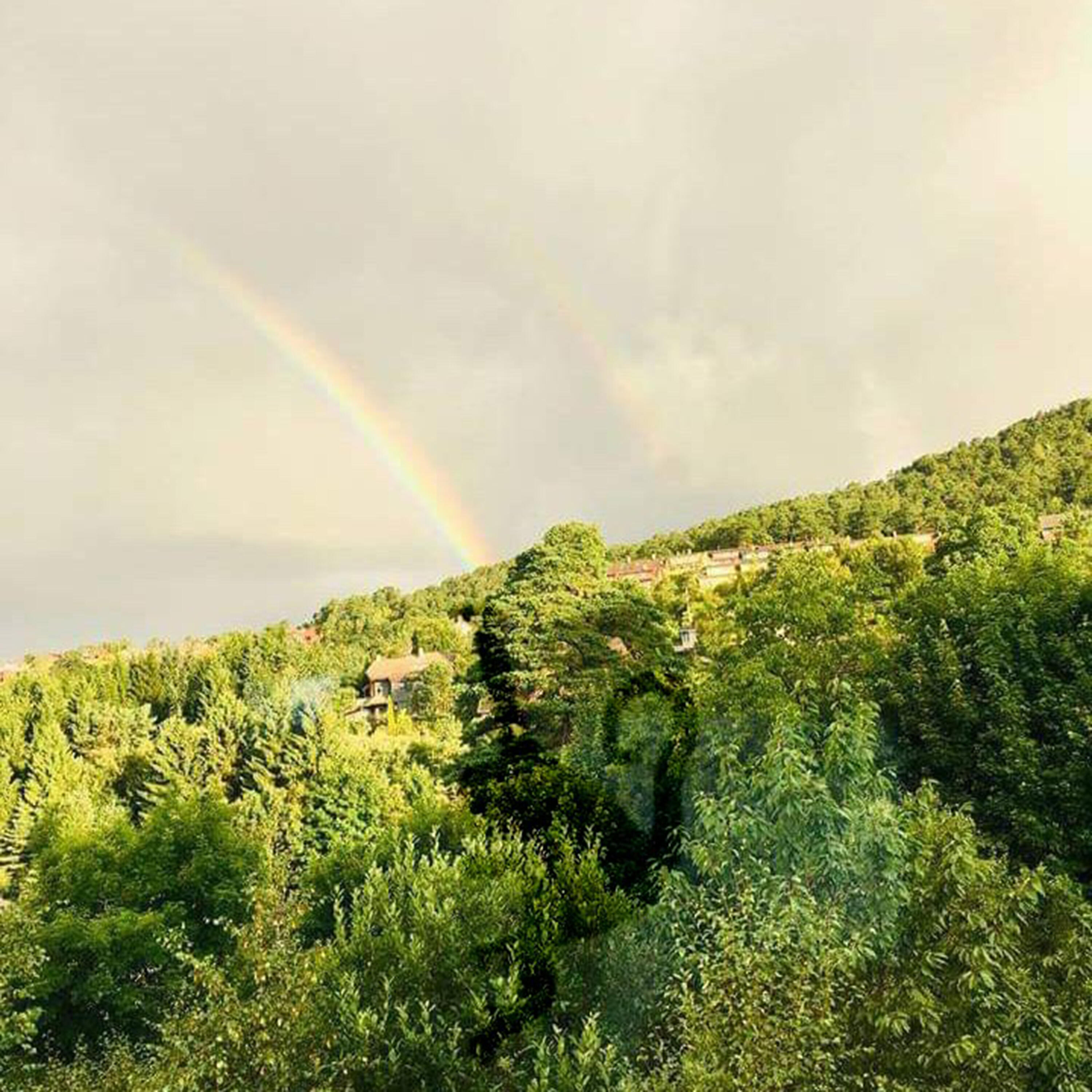 Релиз Summer Rain