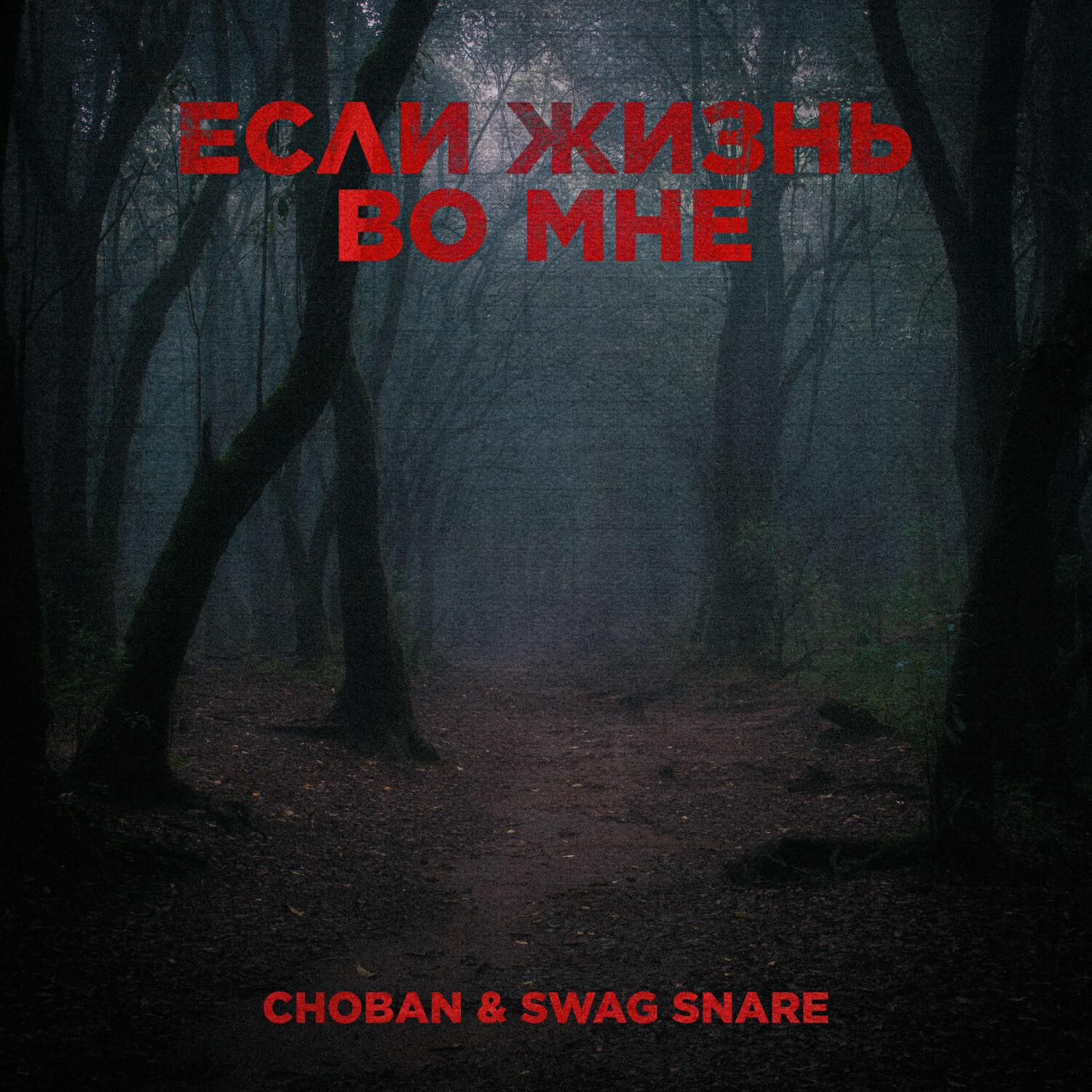 Swag Snare