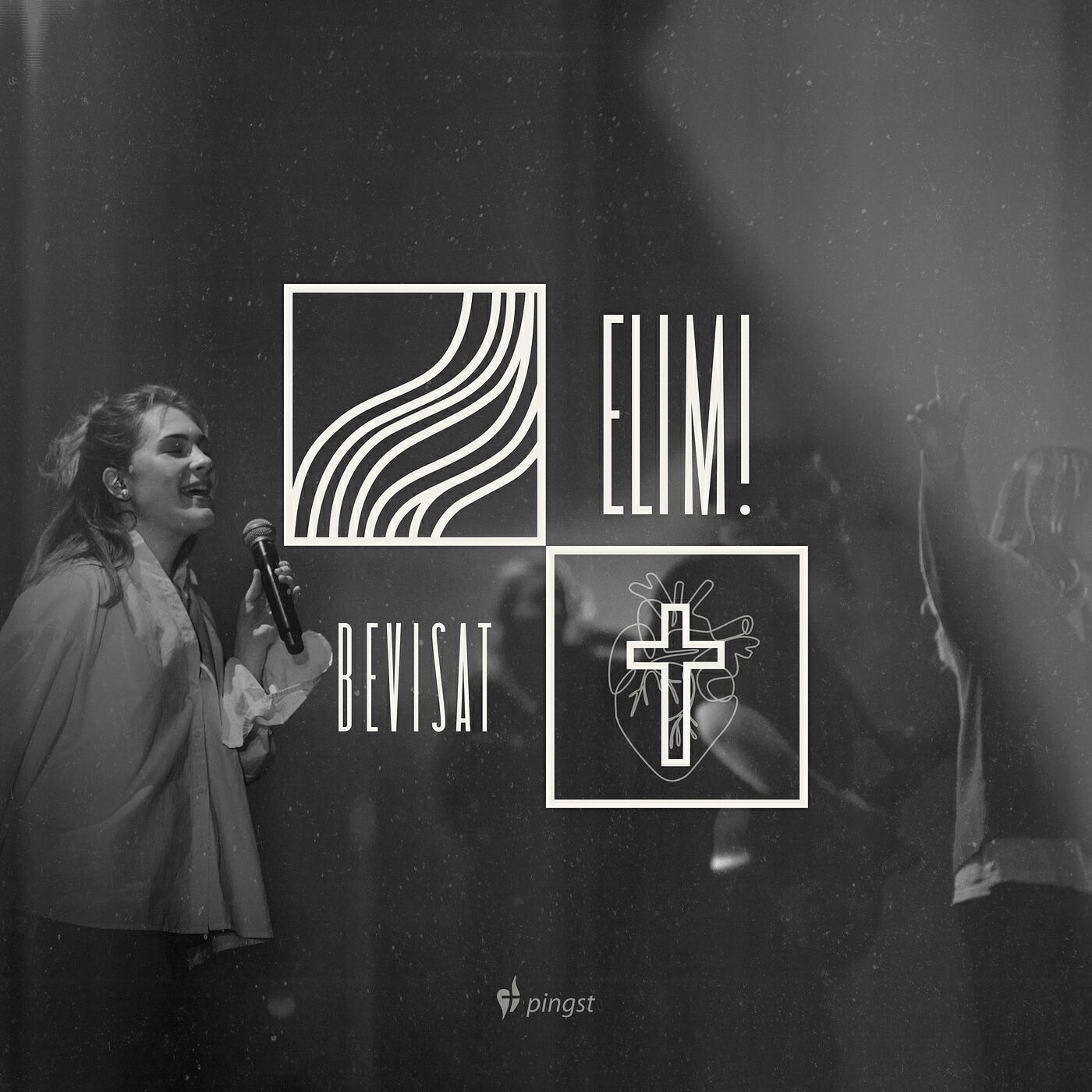Релиз Bevisat (live)