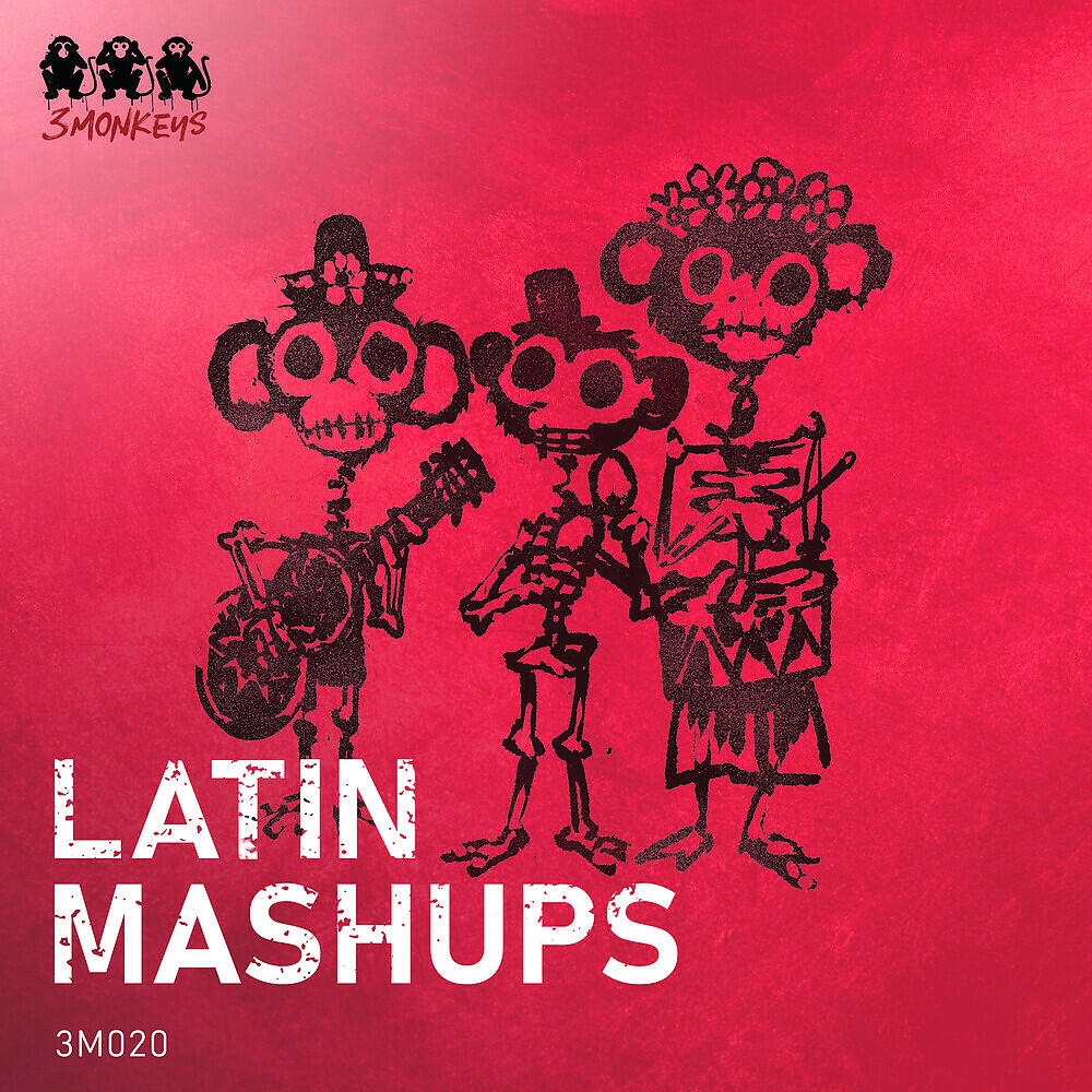 Релиз Latin Mashups