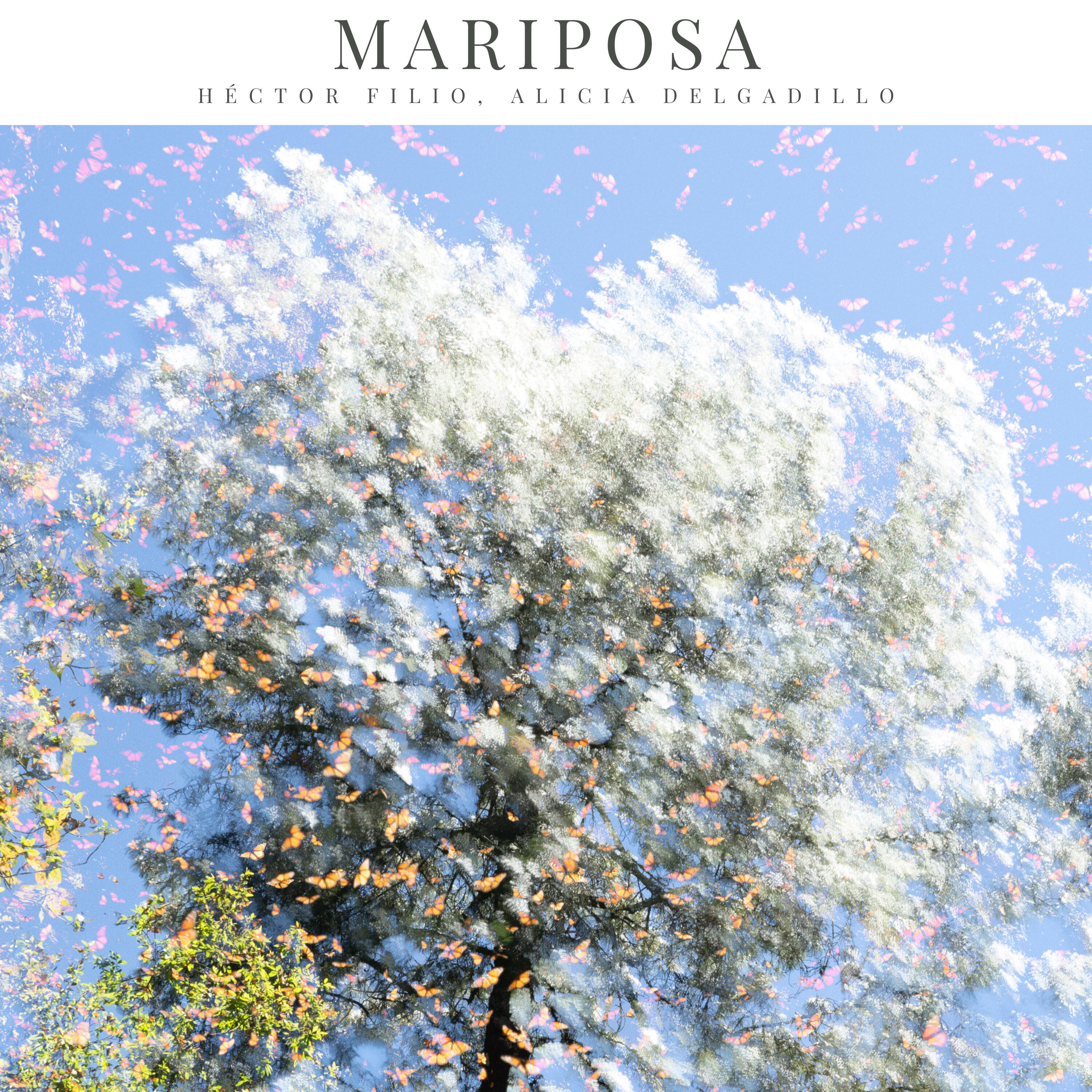 Релиз Mariposa