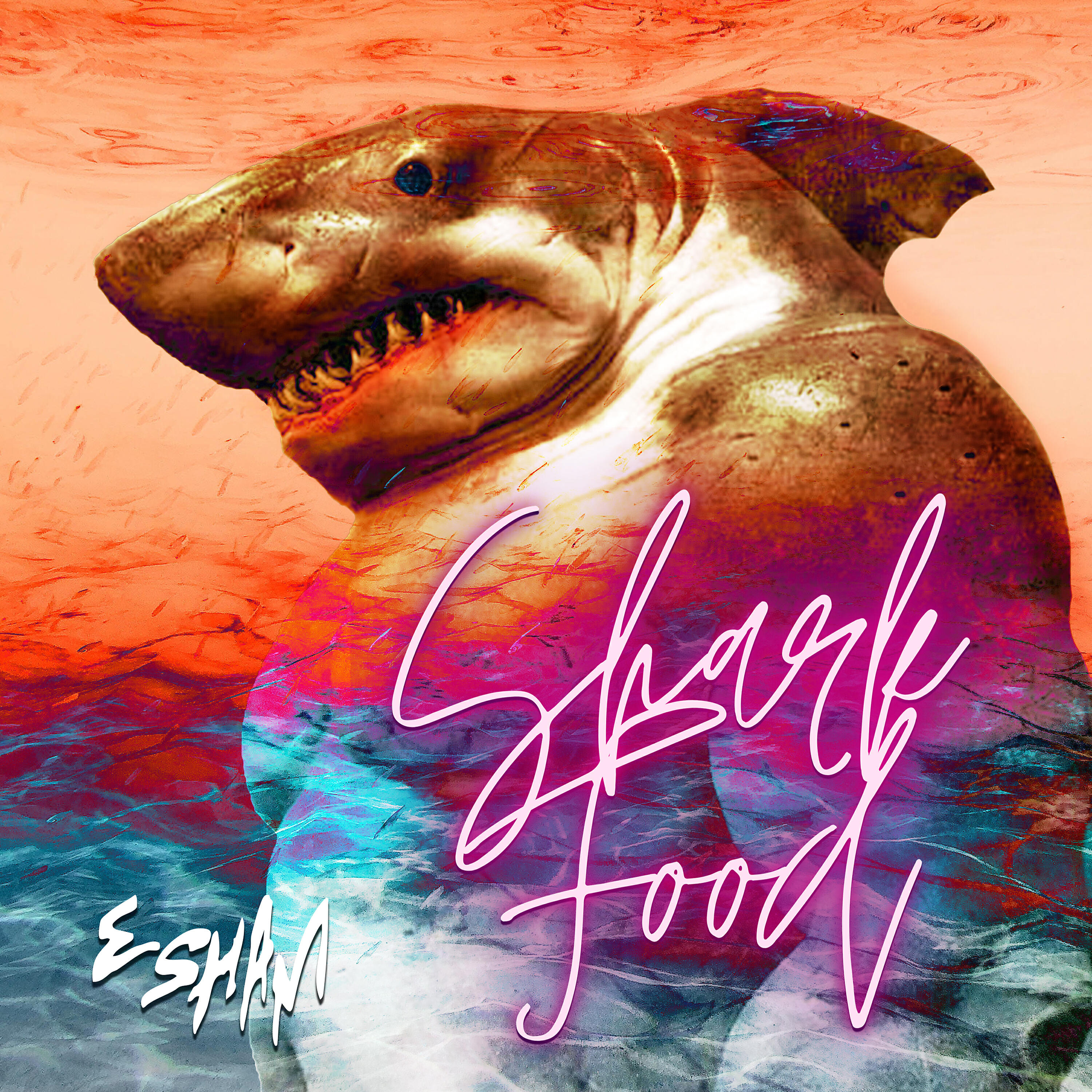 Релиз Shark Food