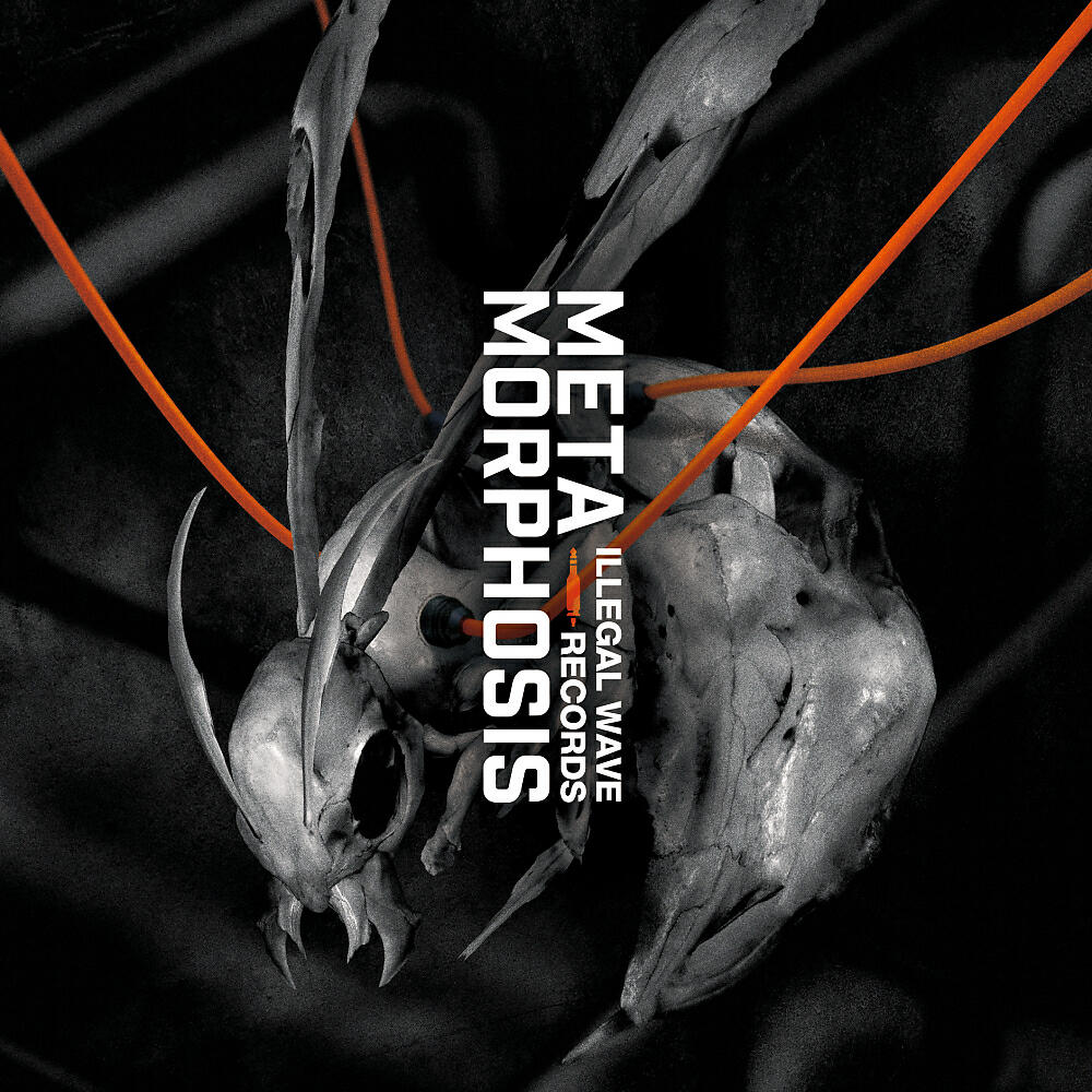 Альбом METAMORPHOSIS исполнителя Various Artists